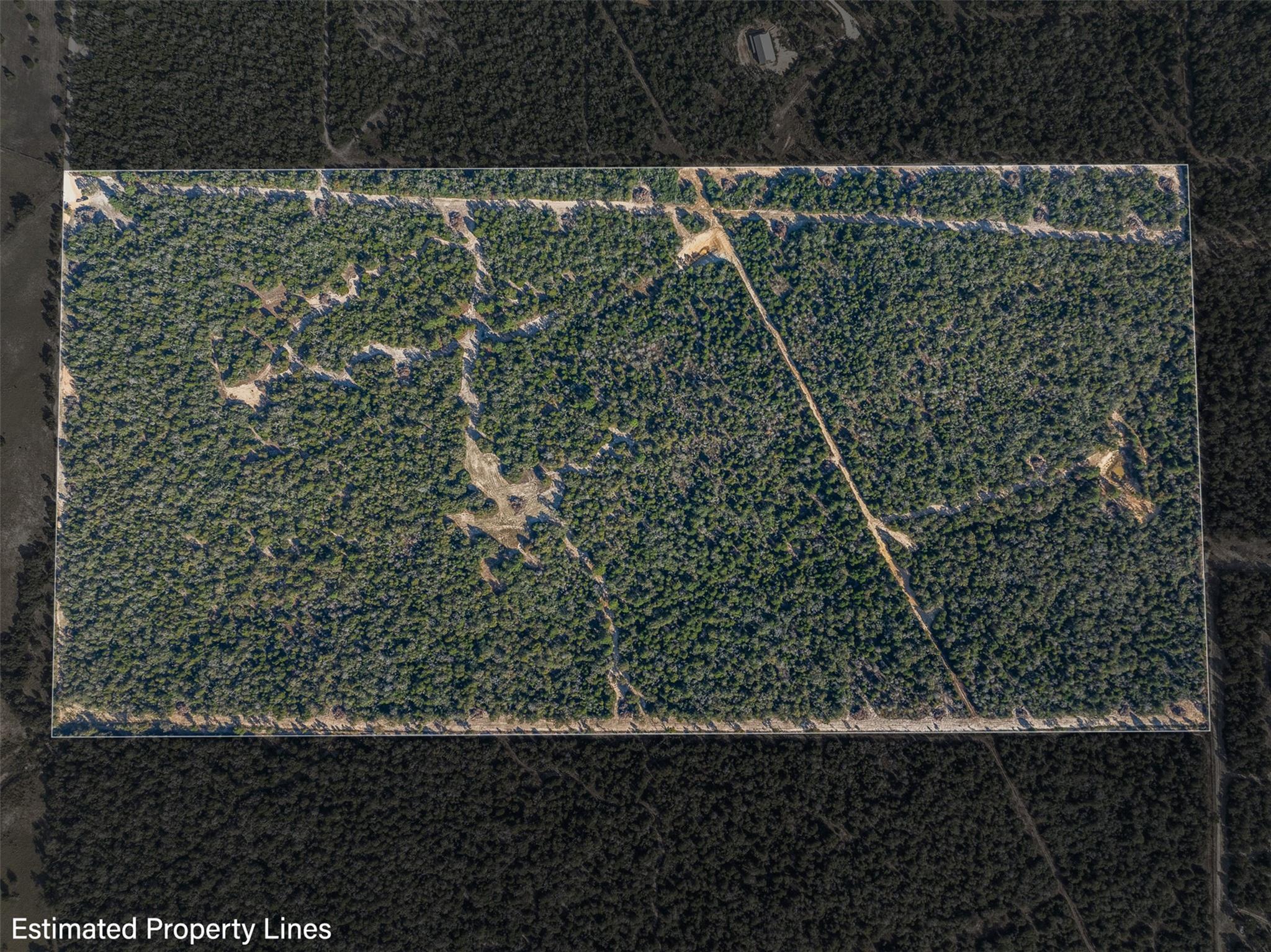 555 Altamira Ln, Dale, TX 78616