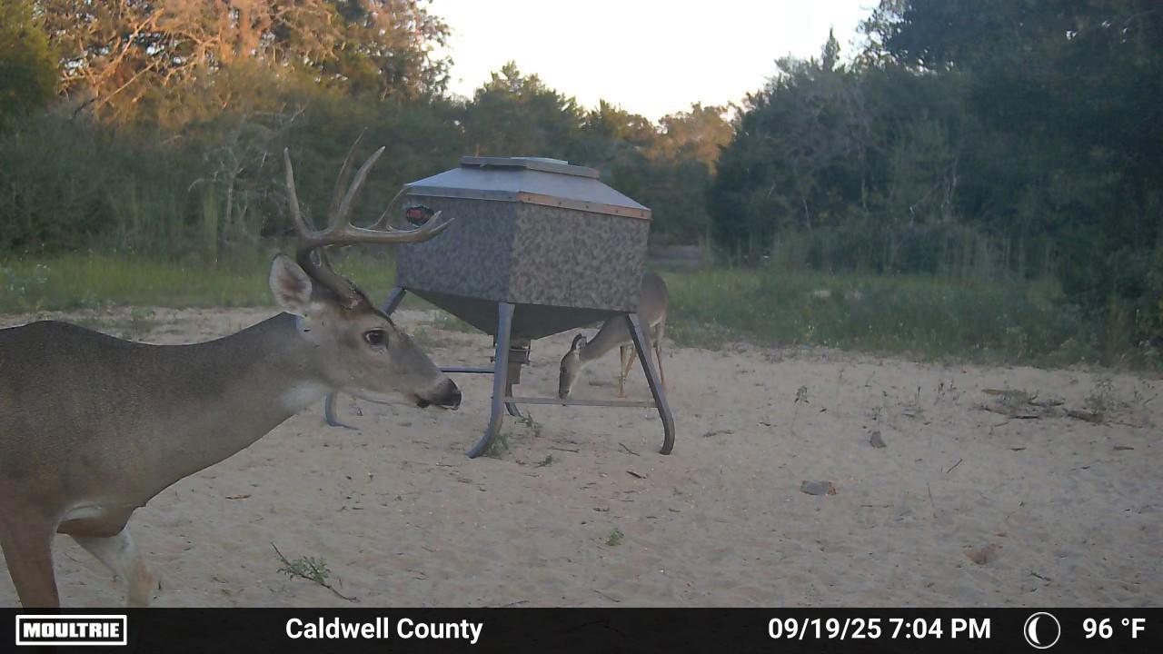 555 Altamira Ln, Dale, TX 78616