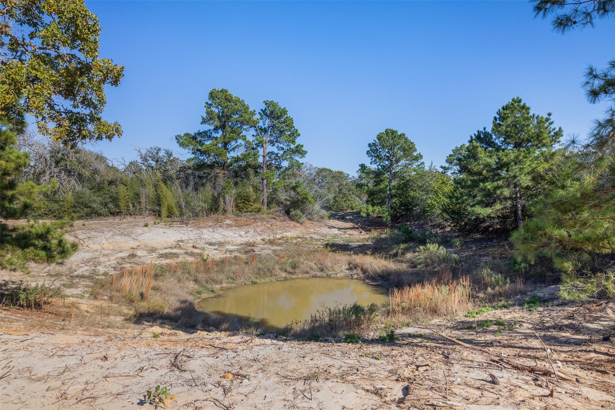 555 Altamira Ln, Dale, TX 78616