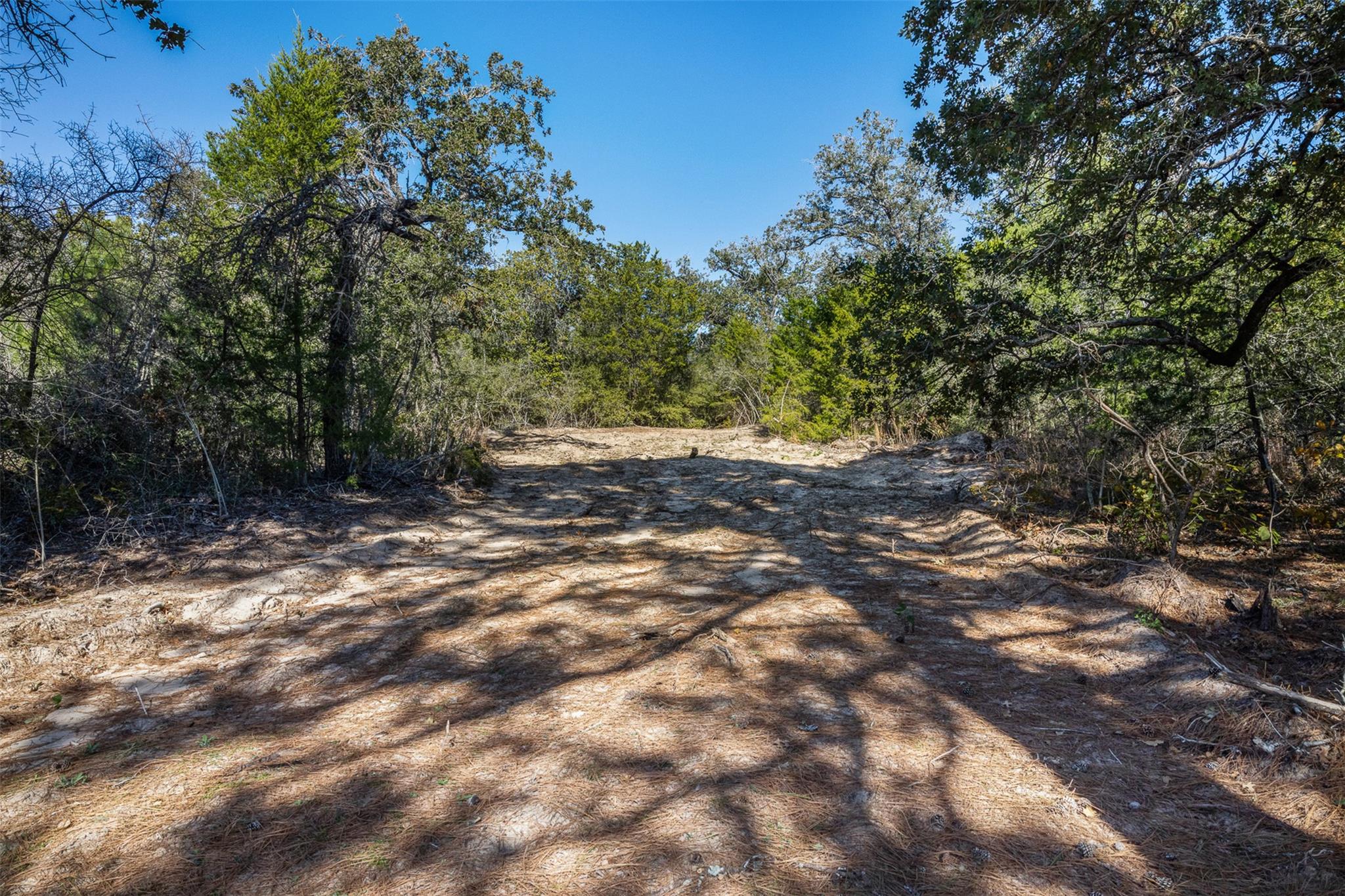555 Altamira Ln, Dale, TX 78616