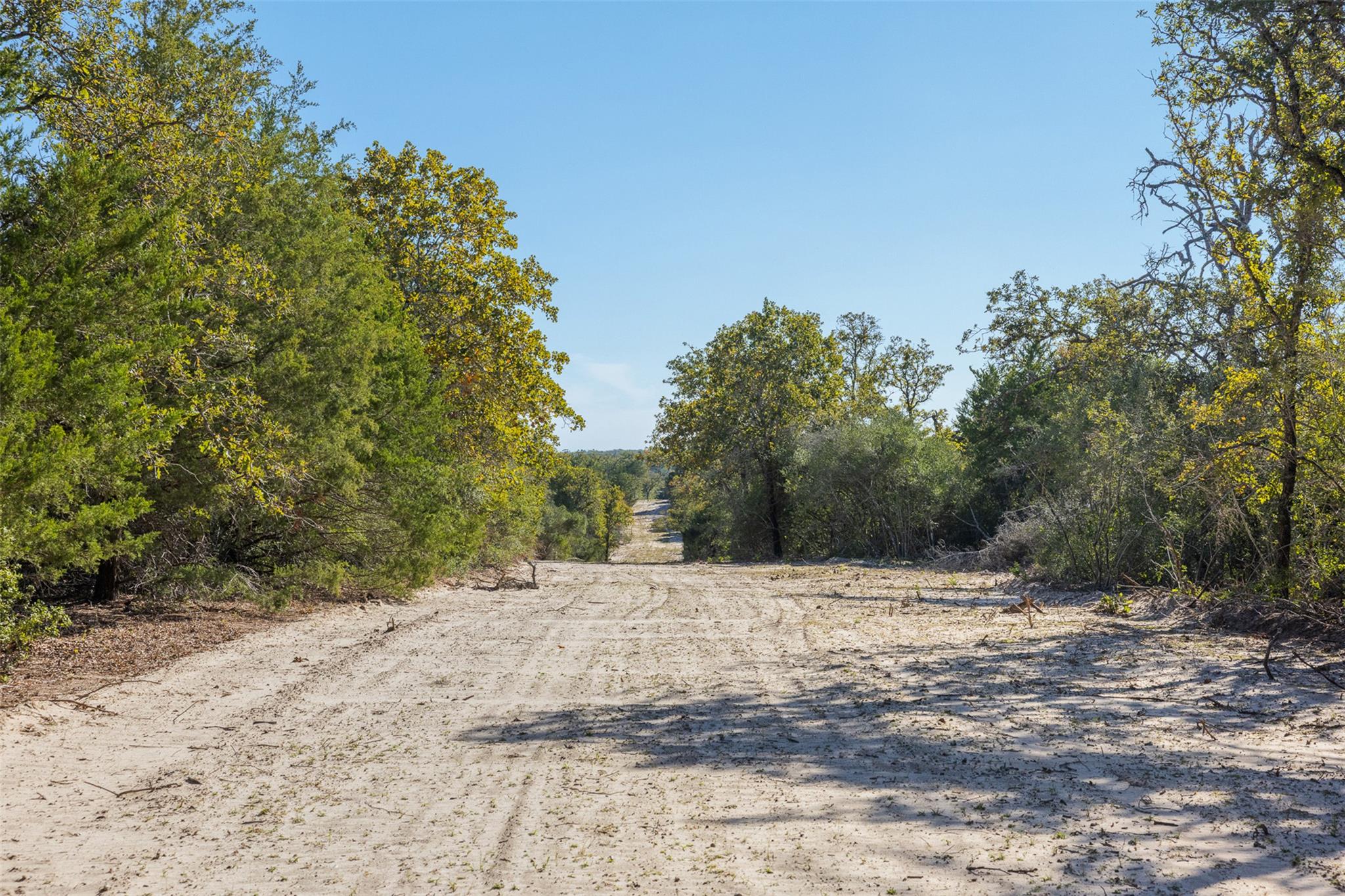 555 Altamira Ln, Dale, TX 78616