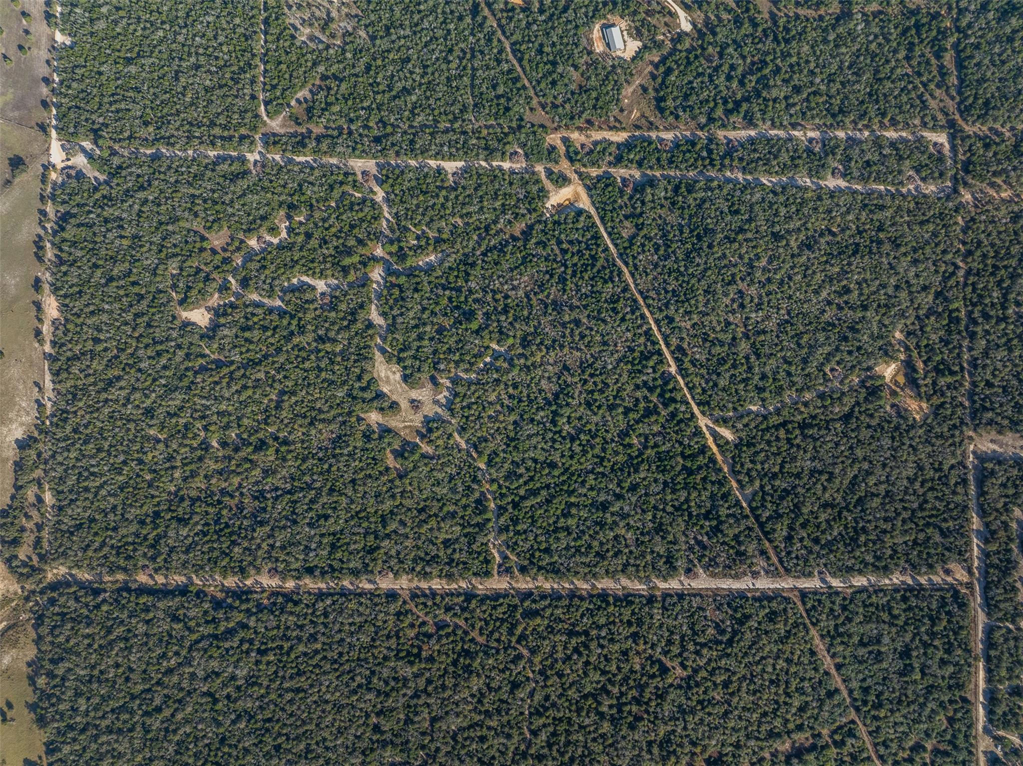 555 Altamira Ln, Dale, TX 78616