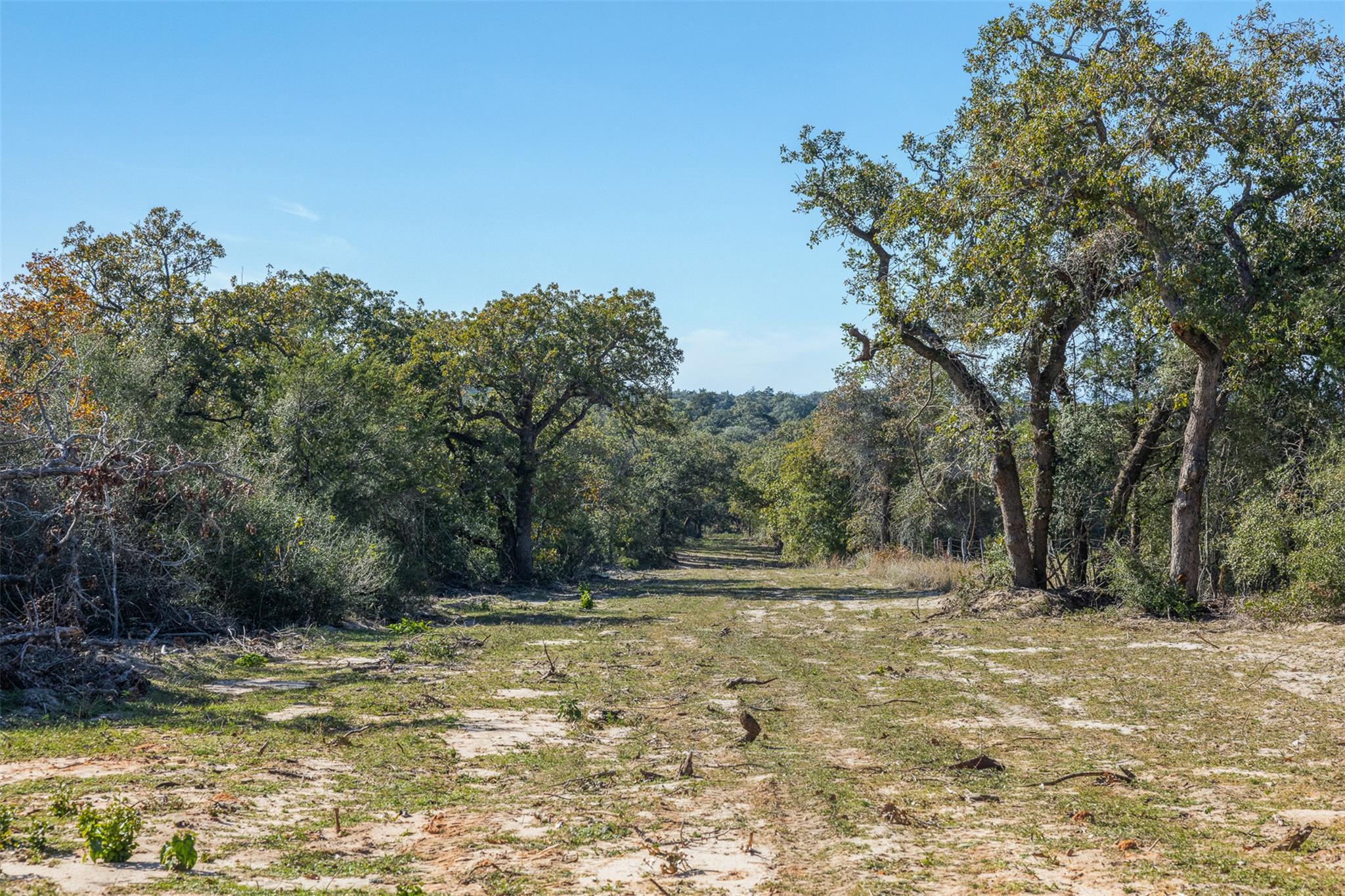 555 Altamira Ln, Dale, TX 78616