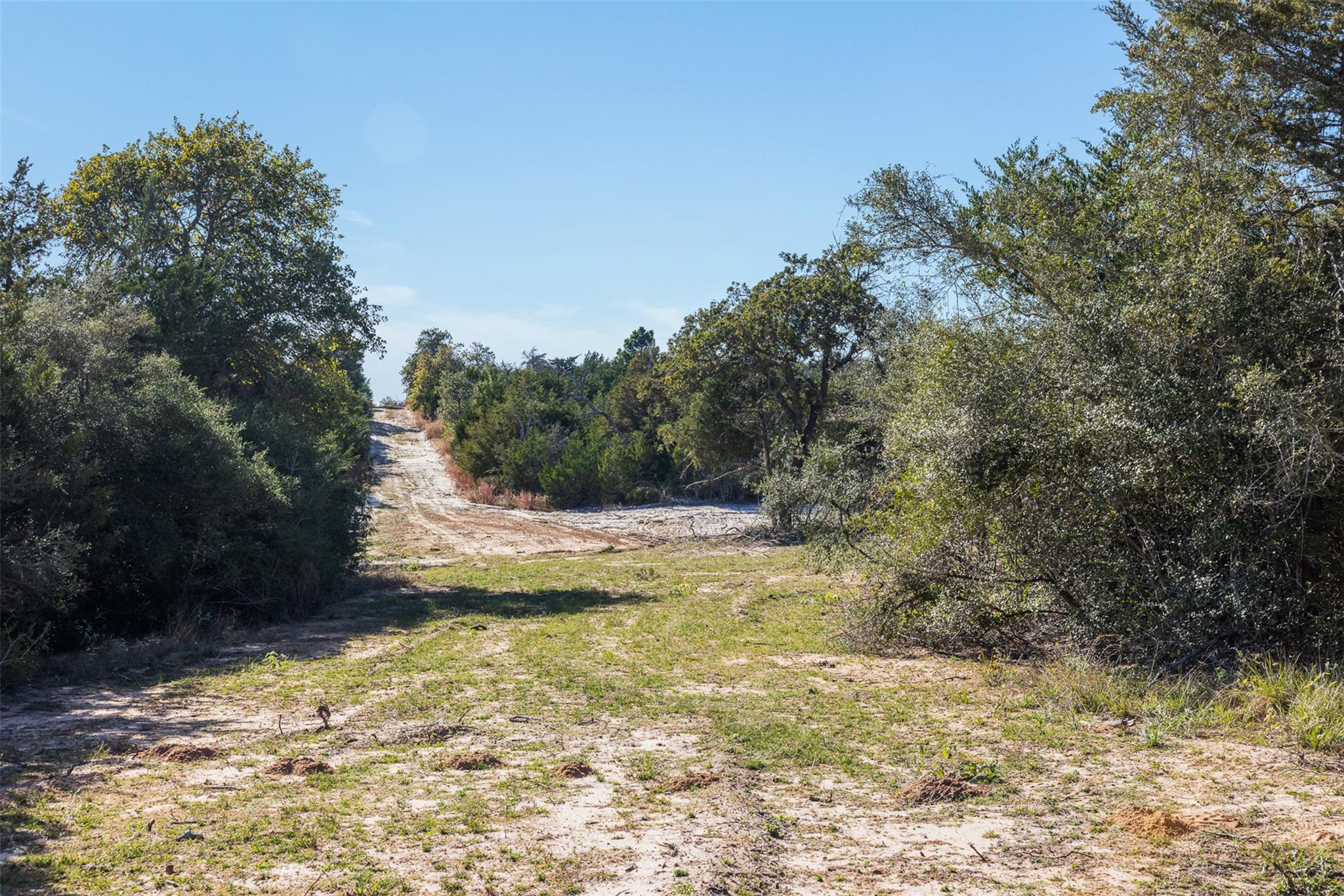 555 Altamira Ln, Dale, TX 78616