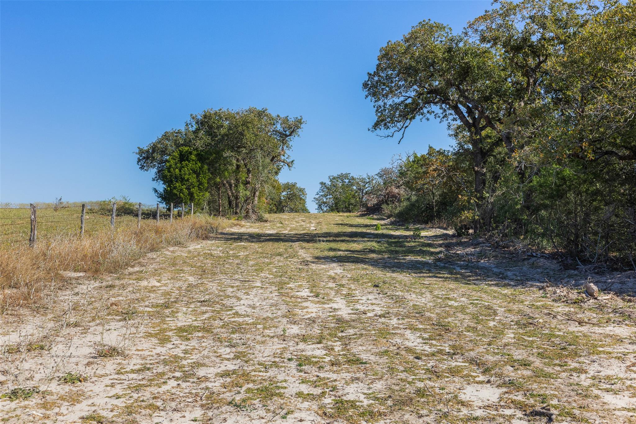 555 Altamira Ln, Dale, TX 78616