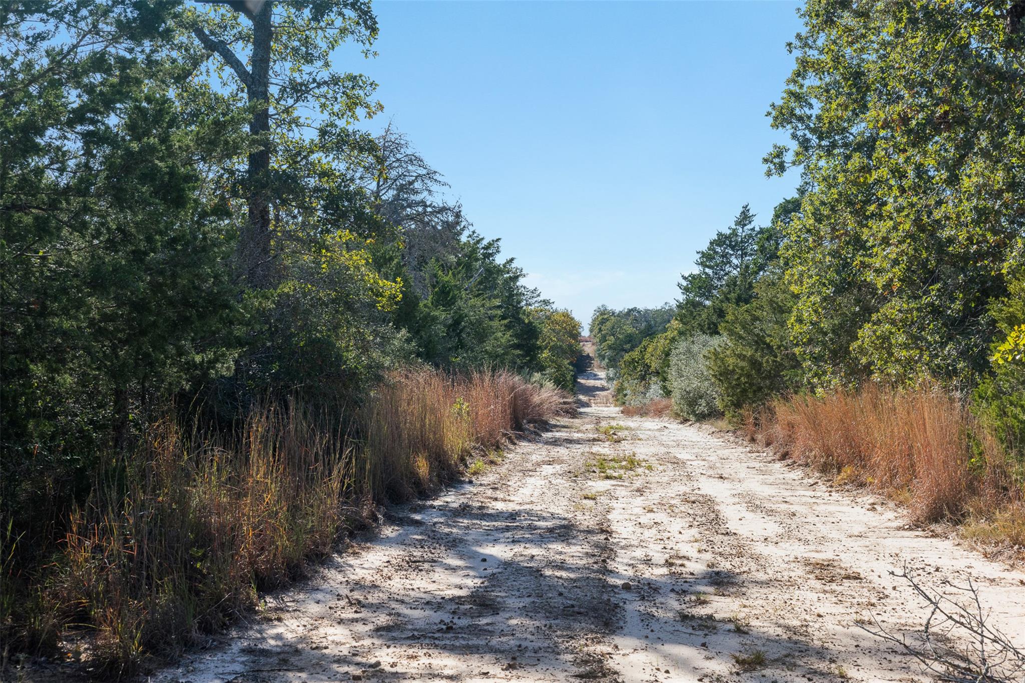 555 Altamira Ln, Dale, TX 78616