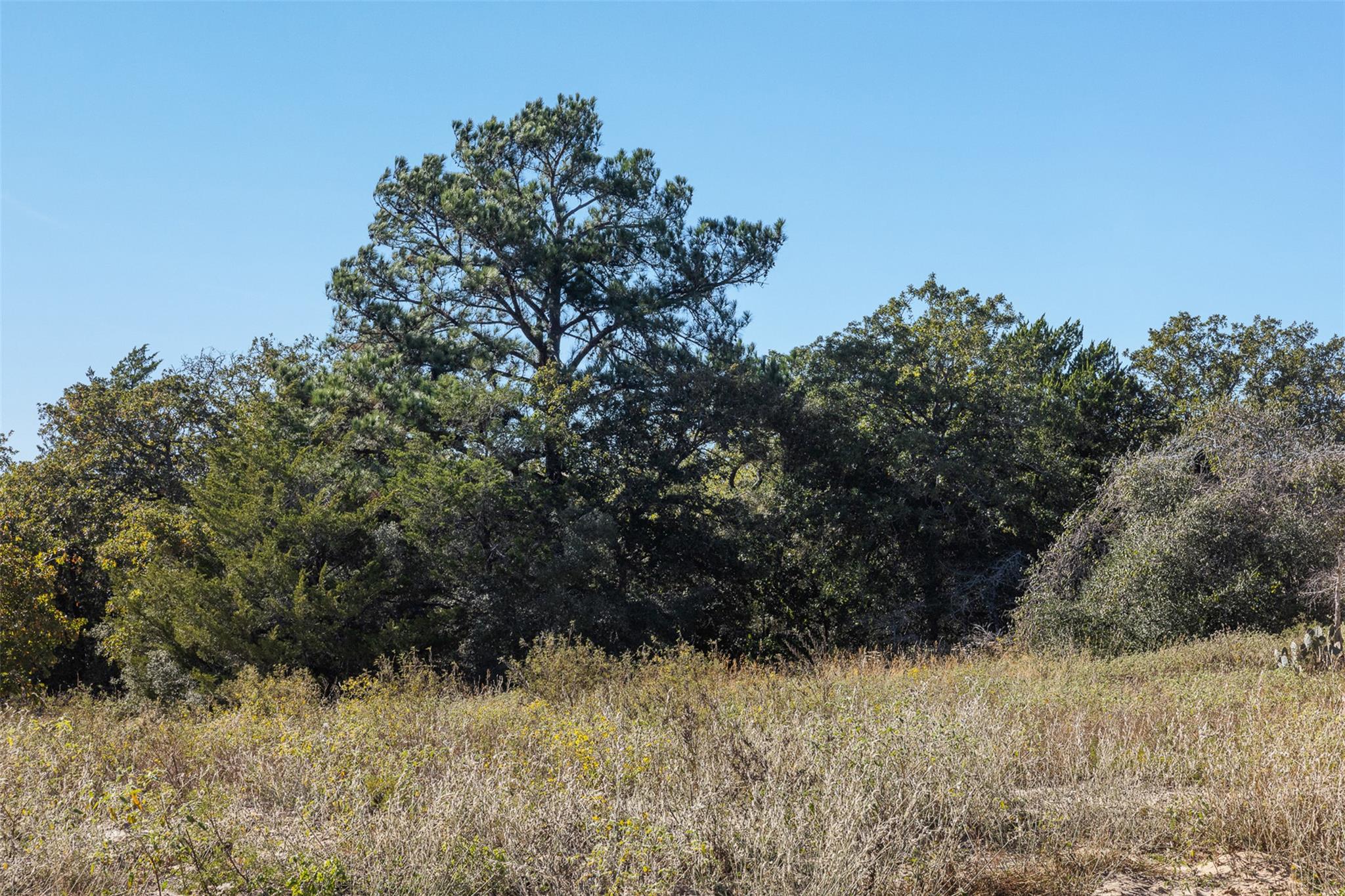 555 Altamira Ln, Dale, TX 78616