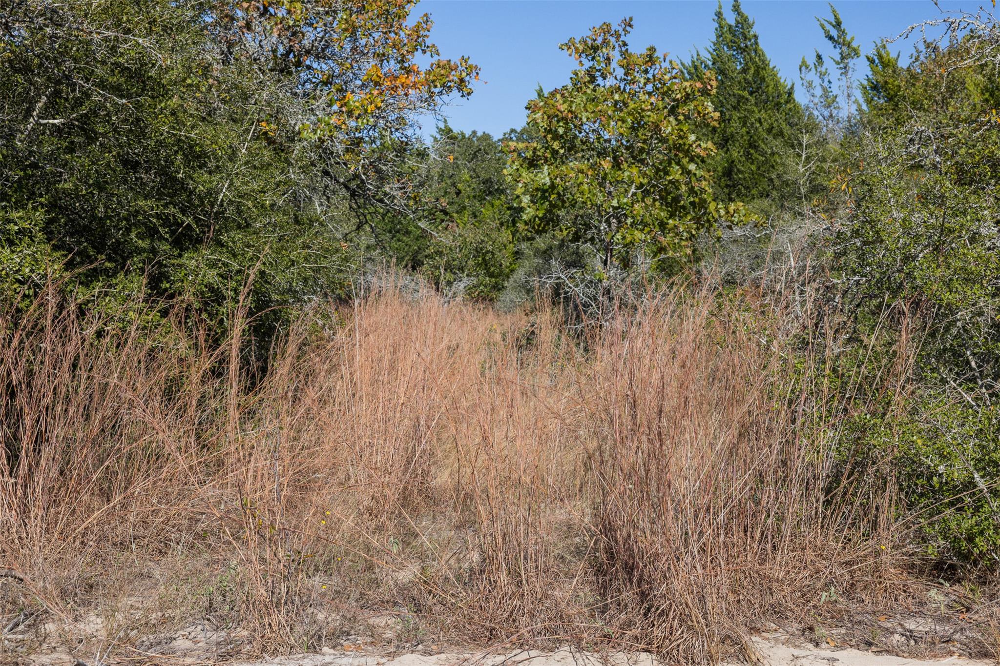 555 Altamira Ln, Dale, TX 78616