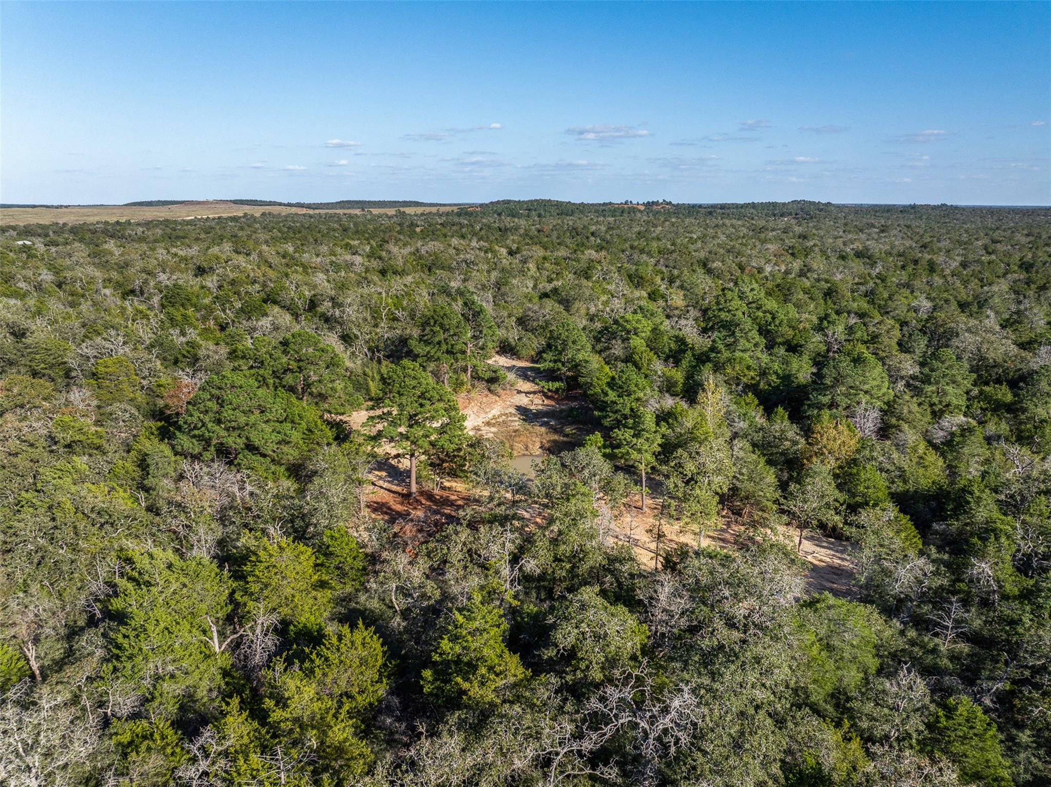 555 Altamira Ln, Dale, TX 78616