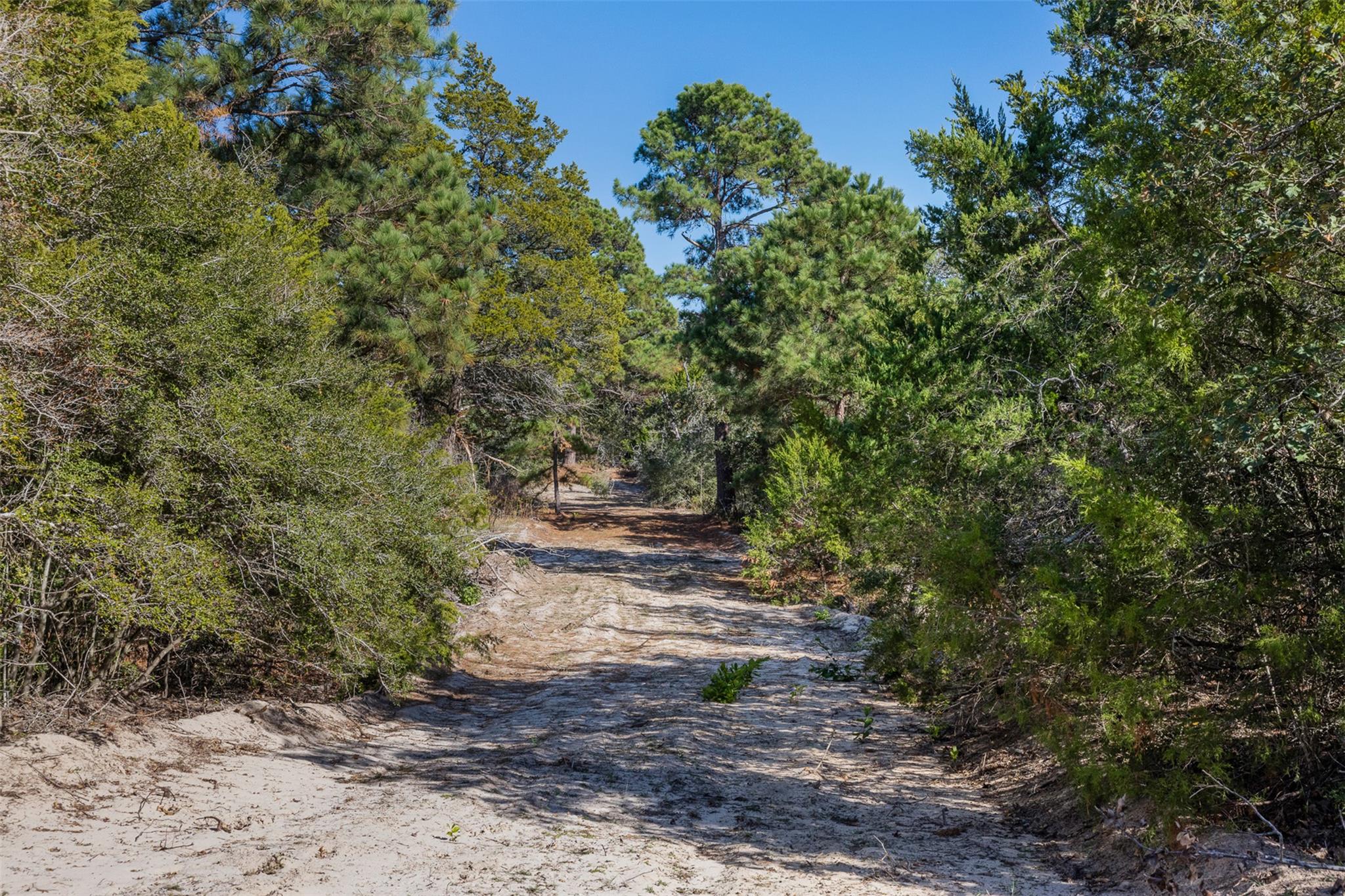 555 Altamira Ln, Dale, TX 78616