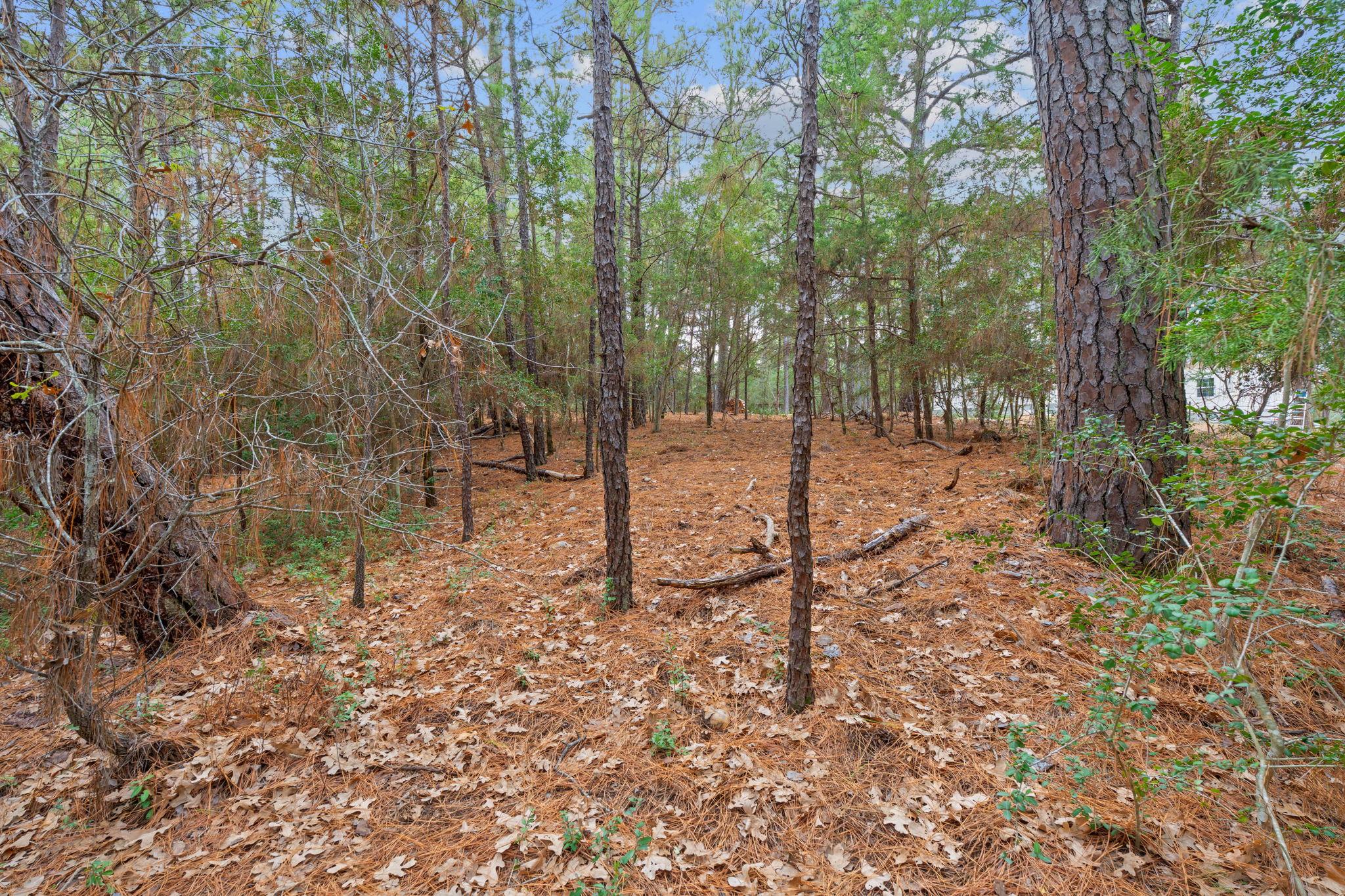 118 & 120 Kamaiki Dr, Bastrop, TX 78602