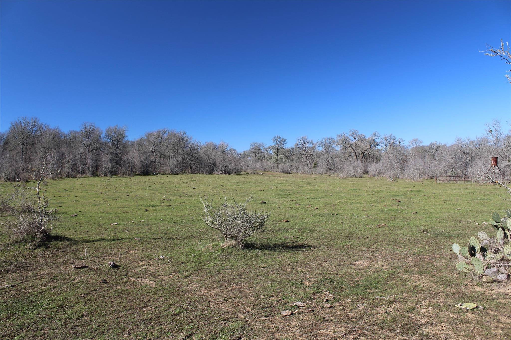 1223 County Road 429, Dime Box, TX 77853