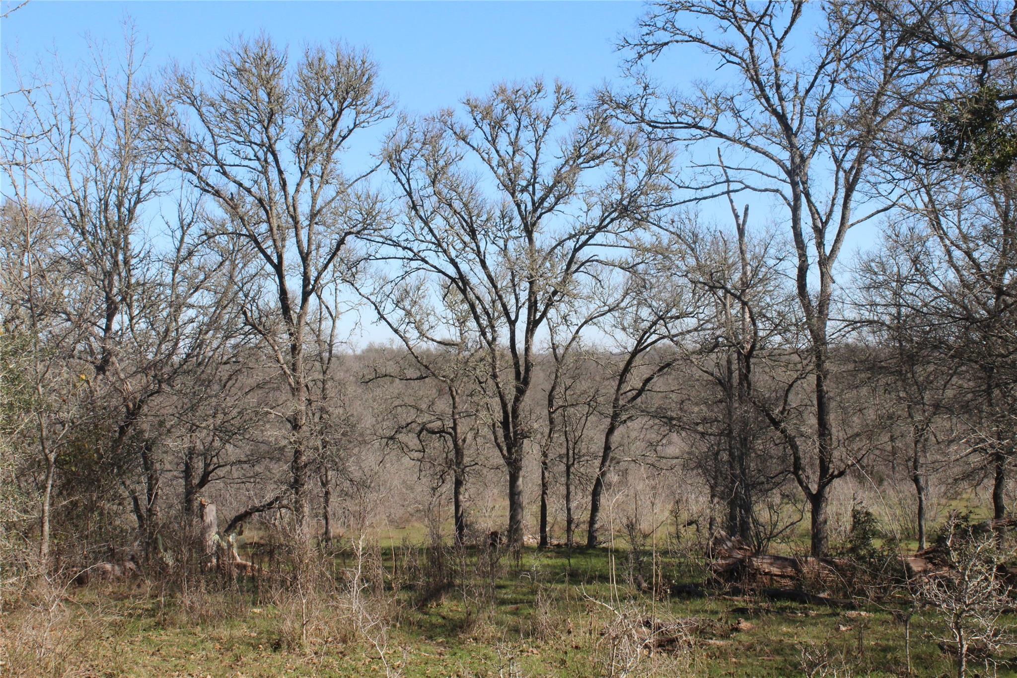 1223 County Road 429, Dime Box, TX 77853