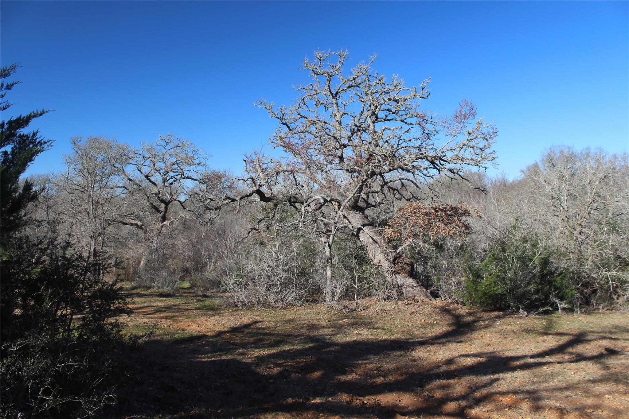 1223 County Road 429, Dime Box, TX 77853