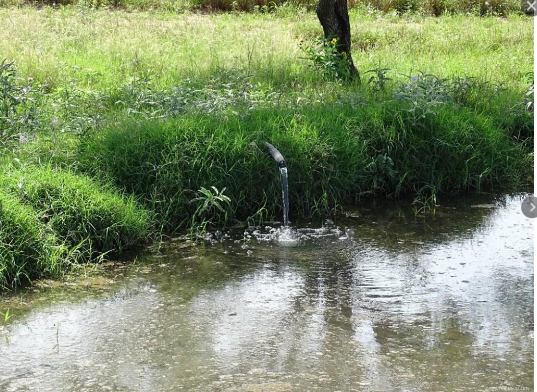 FM 2294 FM 2294, San Isidro, TX 78588