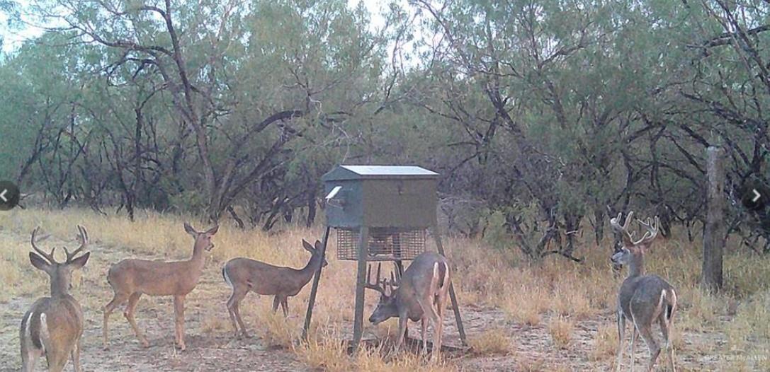 FM 2294 FM 2294, San Isidro, TX 78588