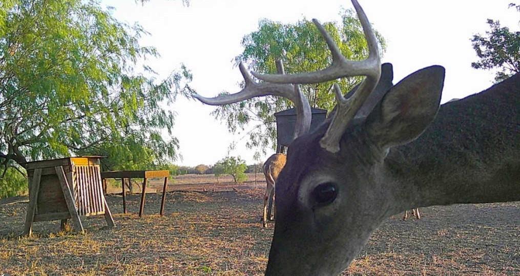 FM 2294 FM 2294, San Isidro, TX 78588