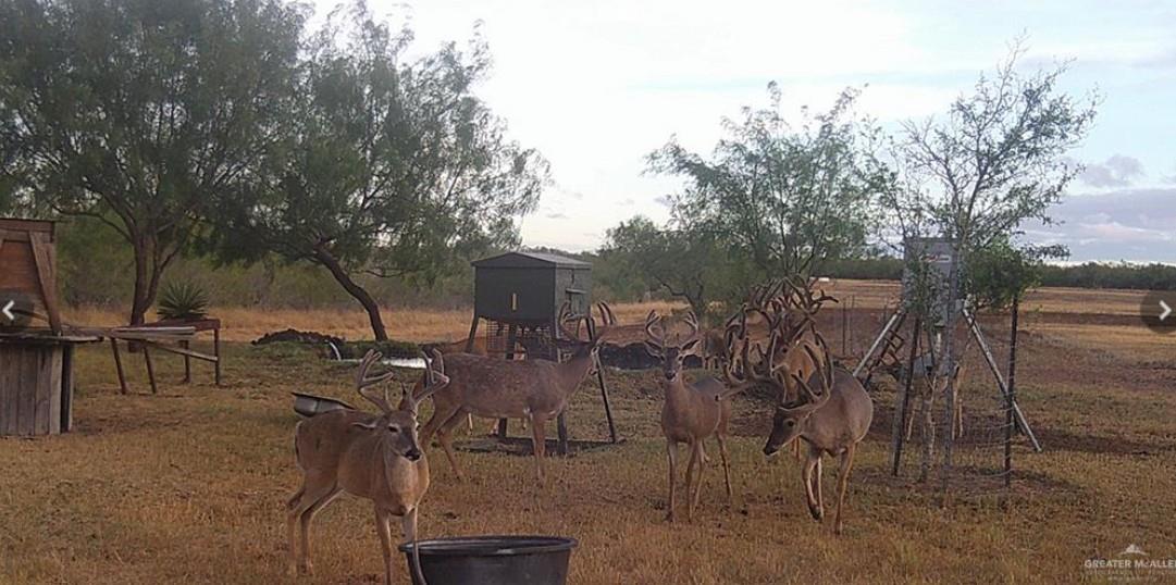 FM 2294 FM 2294, San Isidro, TX 78588