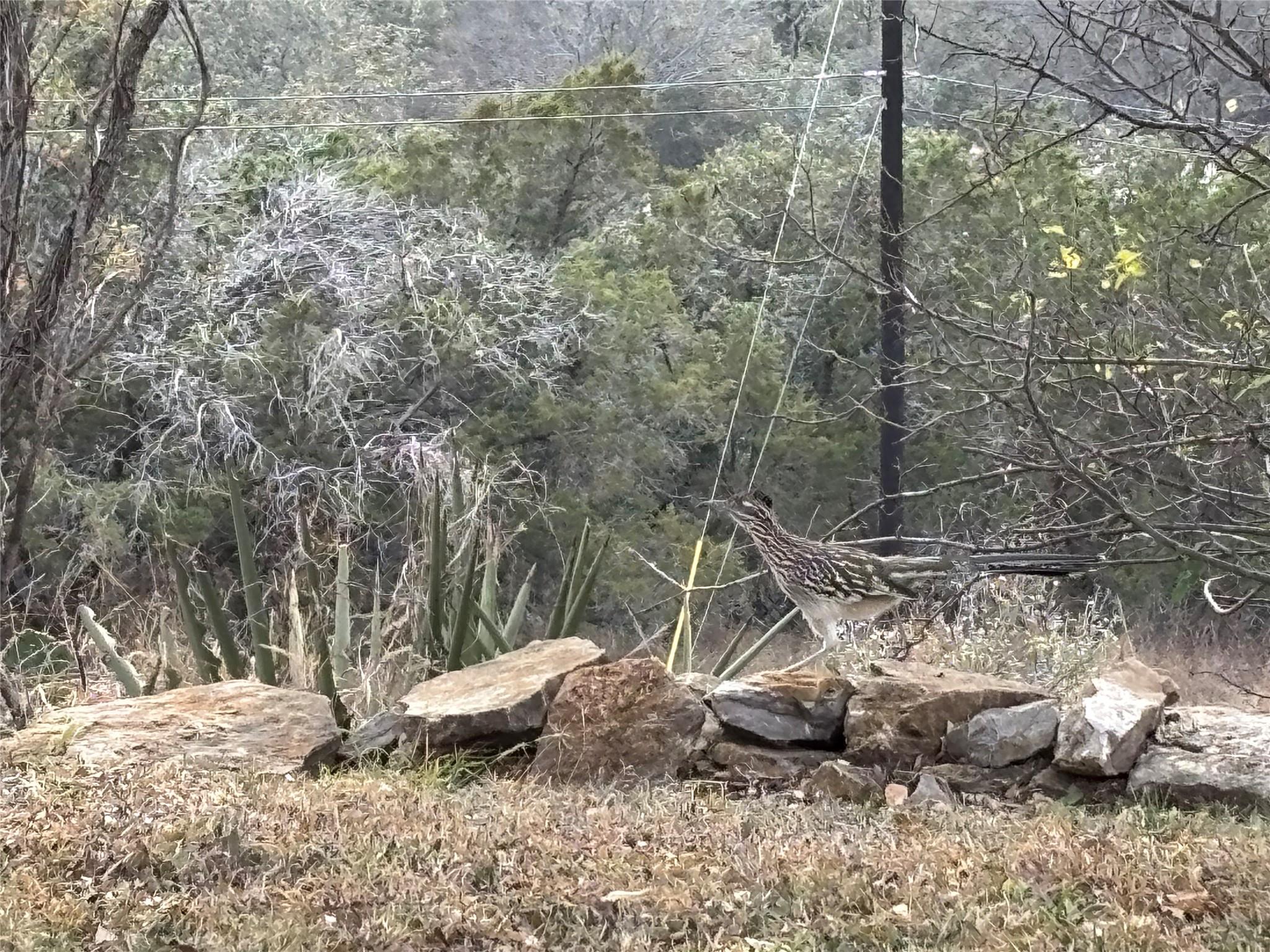 309 S Oak Ln, Burnet, TX 78611