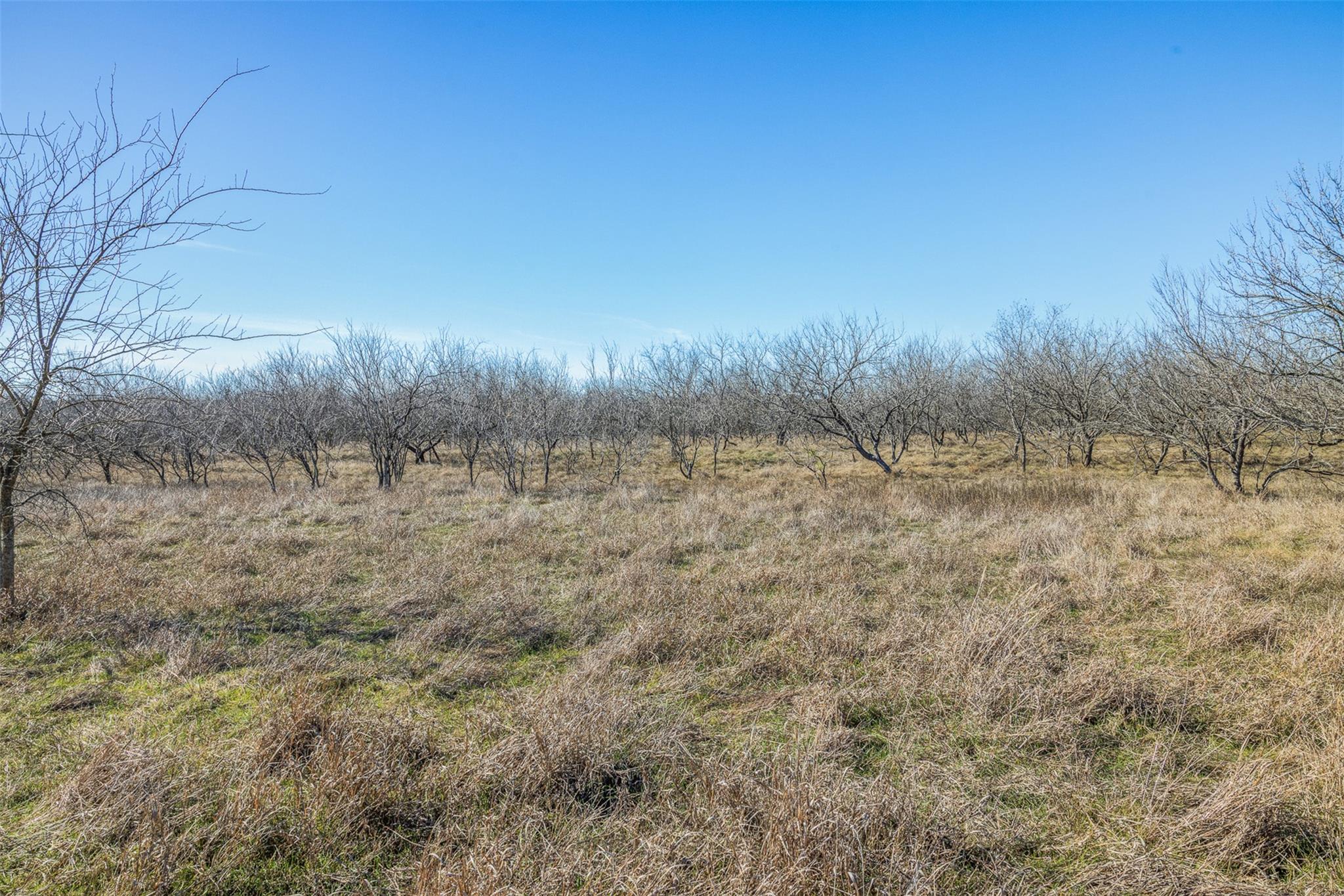 5225 FM 2001, Buda, TX 78610