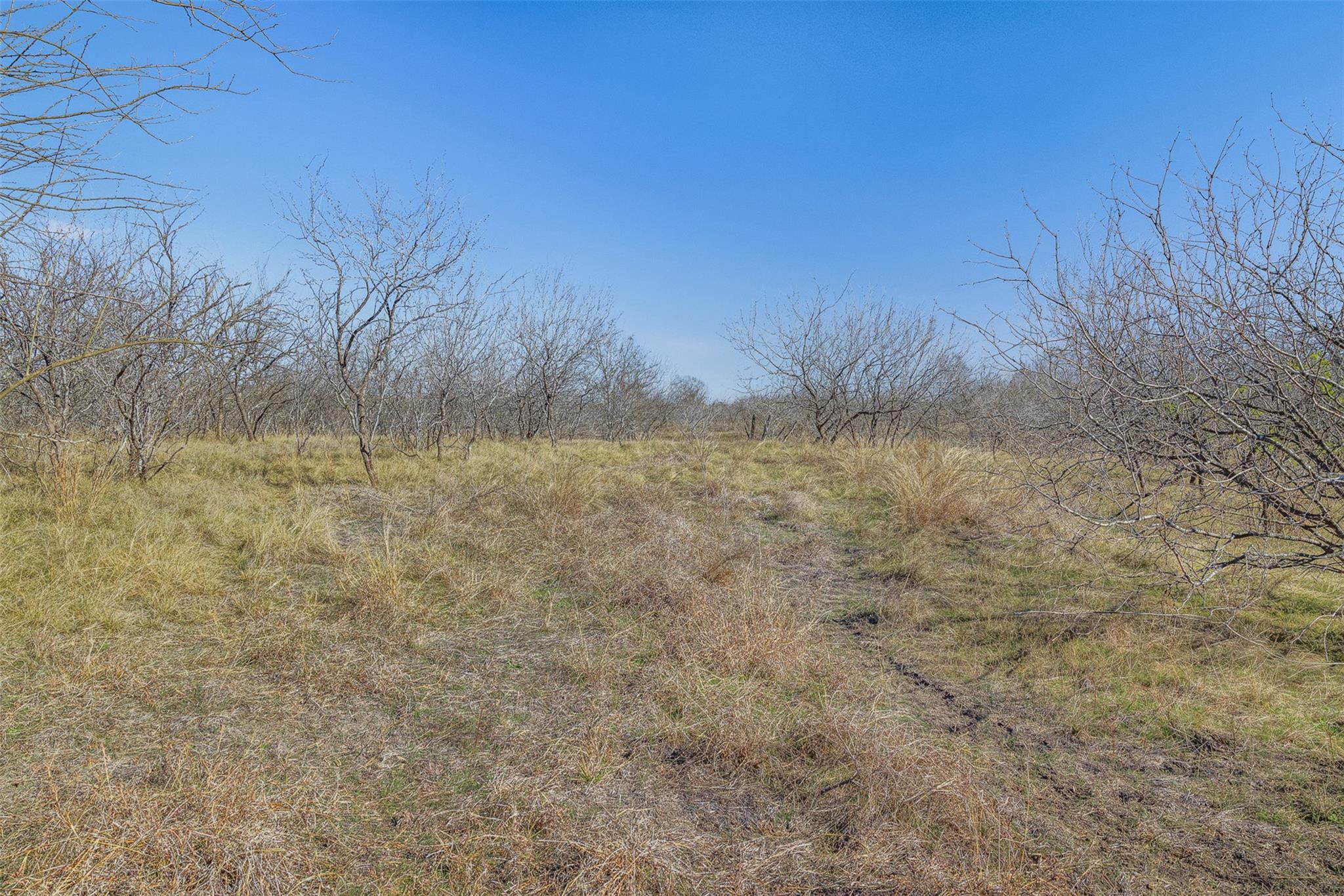 5225 FM 2001, Buda, TX 78610