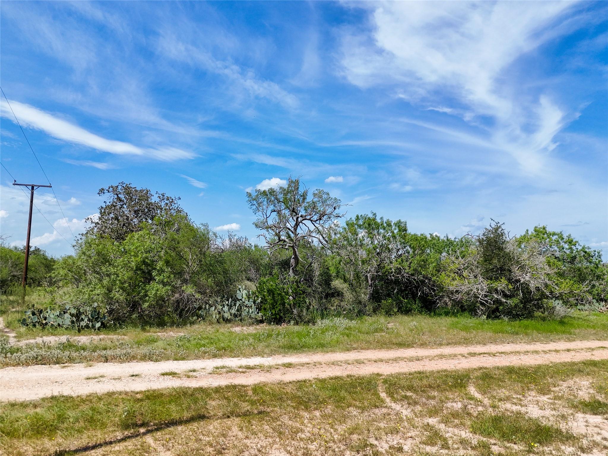 Lot 3 County Road 211, Smiley, TX 78159