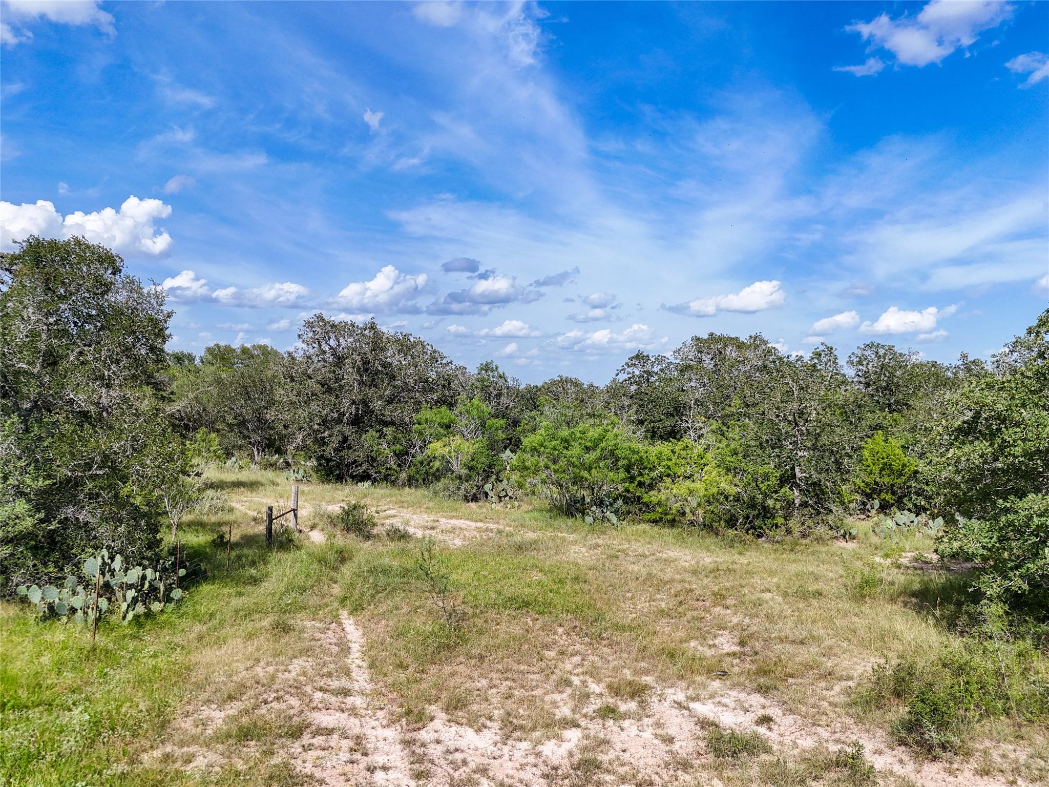 Lot 3 County Road 211, Smiley, TX 78159