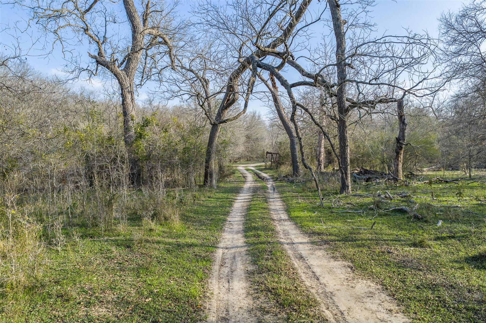 1144 Treetop Ln, Luling, TX 78648
