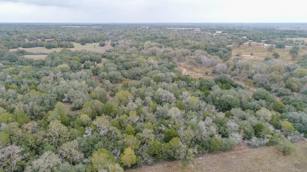 4623 County Road 444, Waelder, TX 78959
