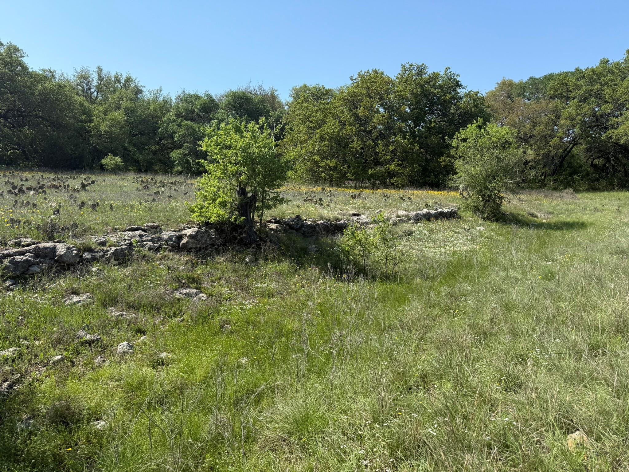 3399 County Road 267, Oglesby, TX 76561