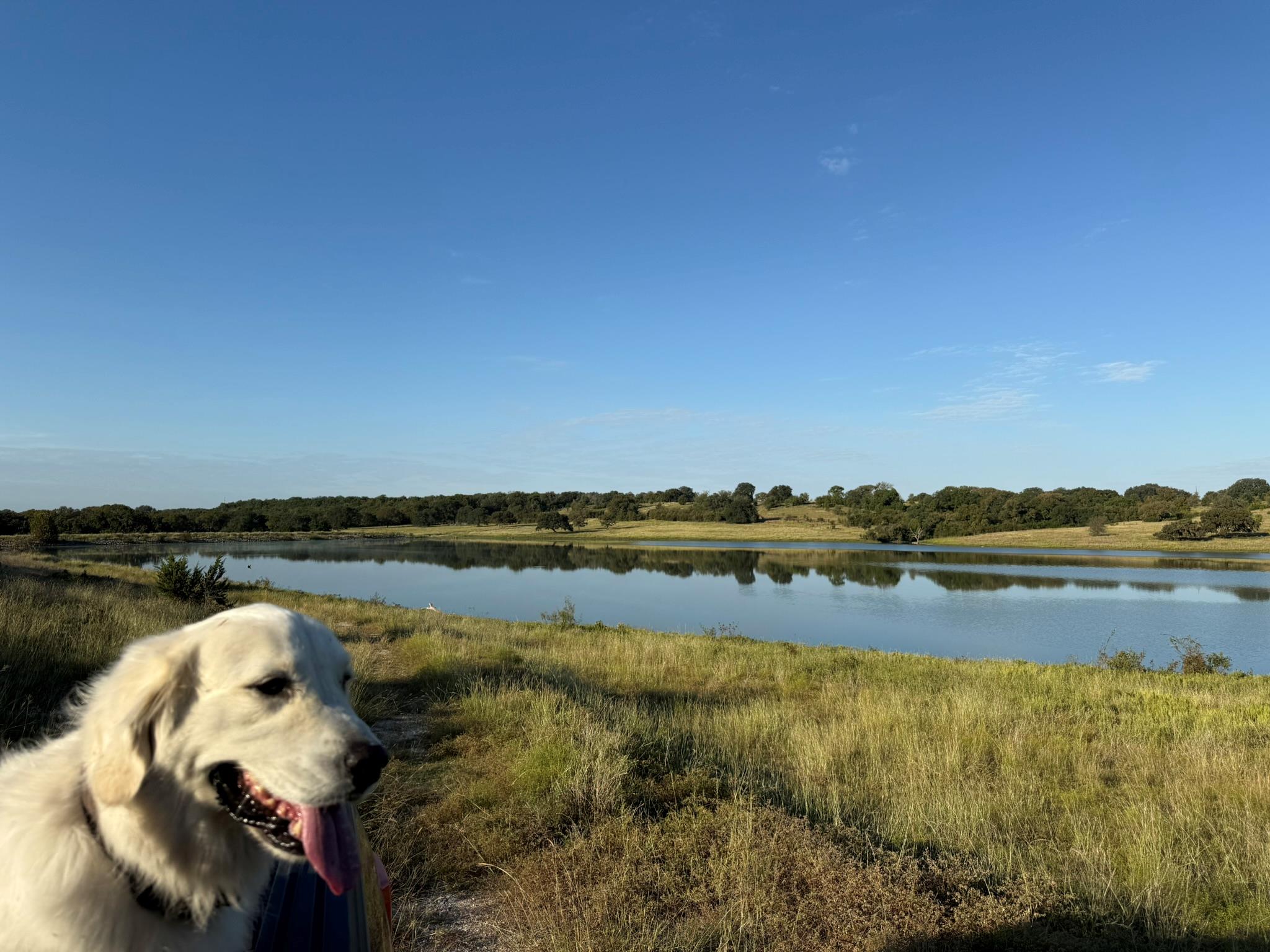 3399 County Road 267, Oglesby, TX 76561