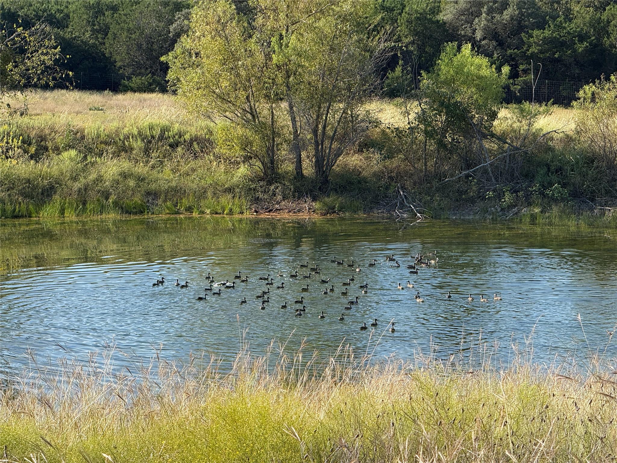 3399 County Road 267, Oglesby, TX 76561