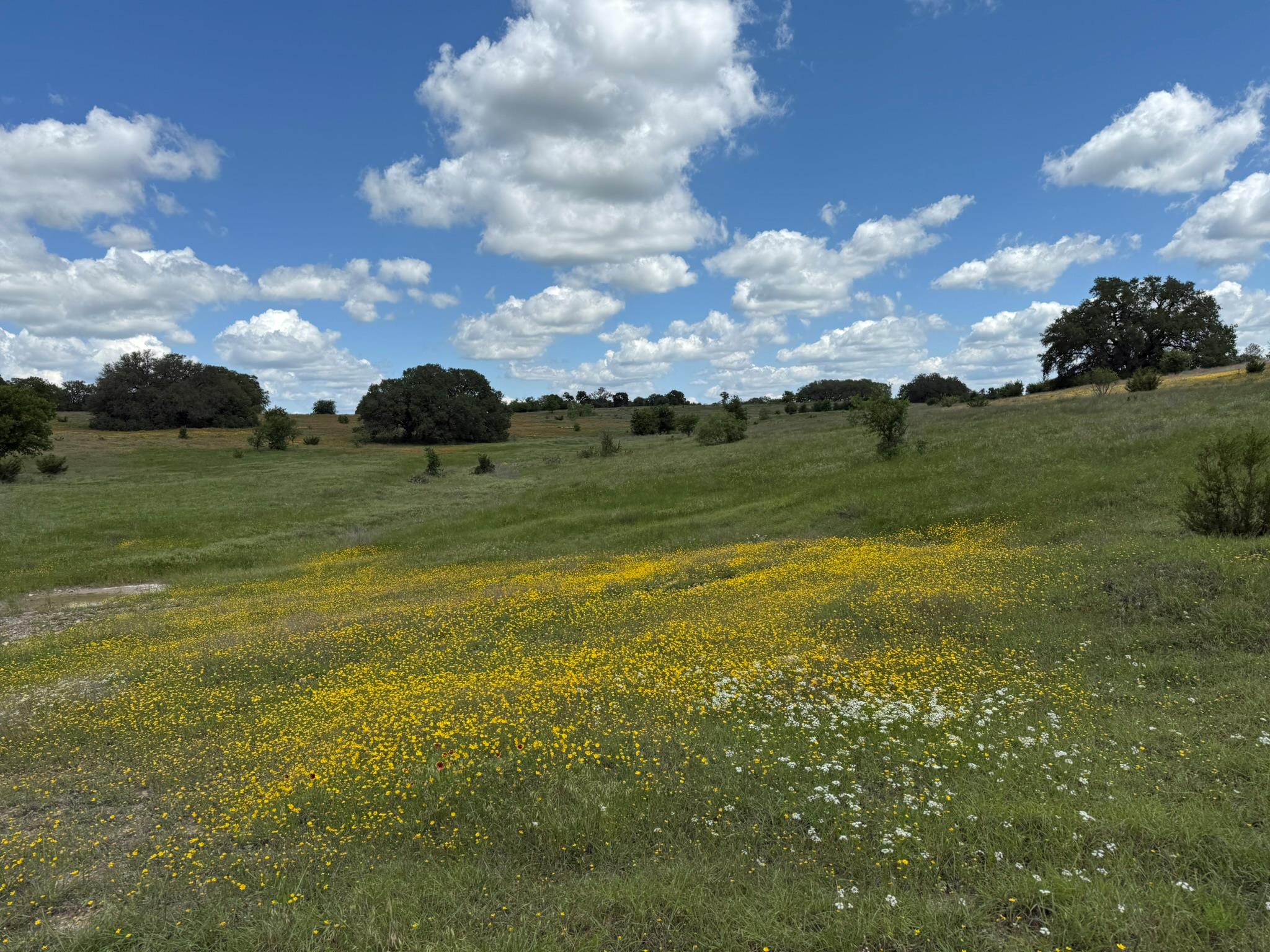 3399 County Road 267, Oglesby, TX 76561