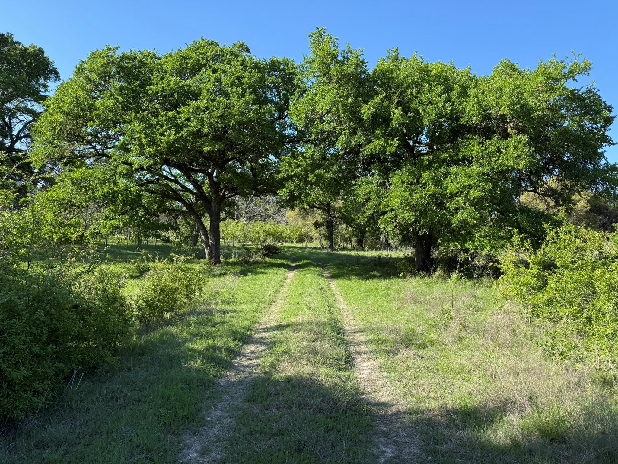 3399 County Road 267, Oglesby, TX 76561