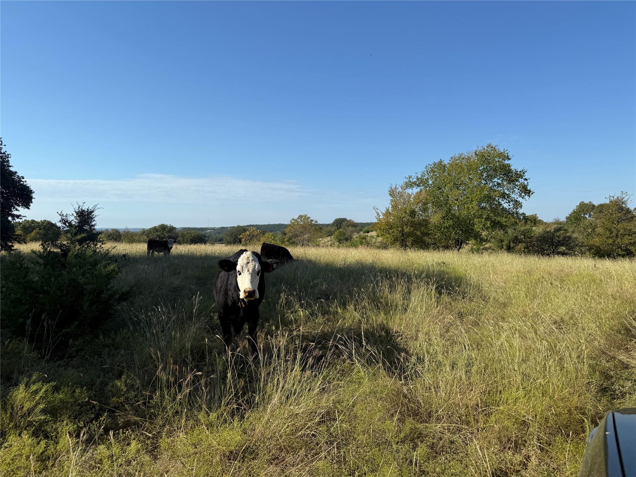 3399 County Road 267, Oglesby, TX 76561