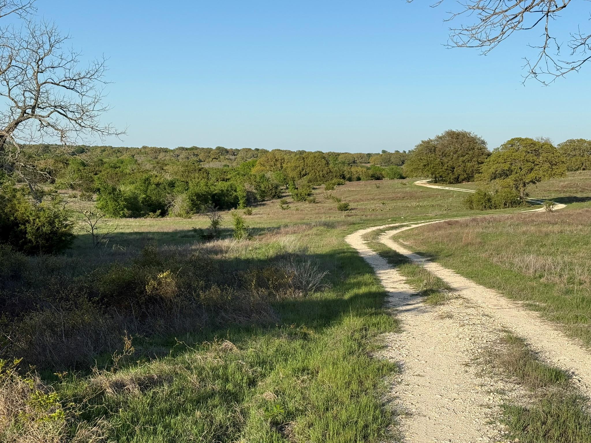 3399 County Road 267, Oglesby, TX 76561