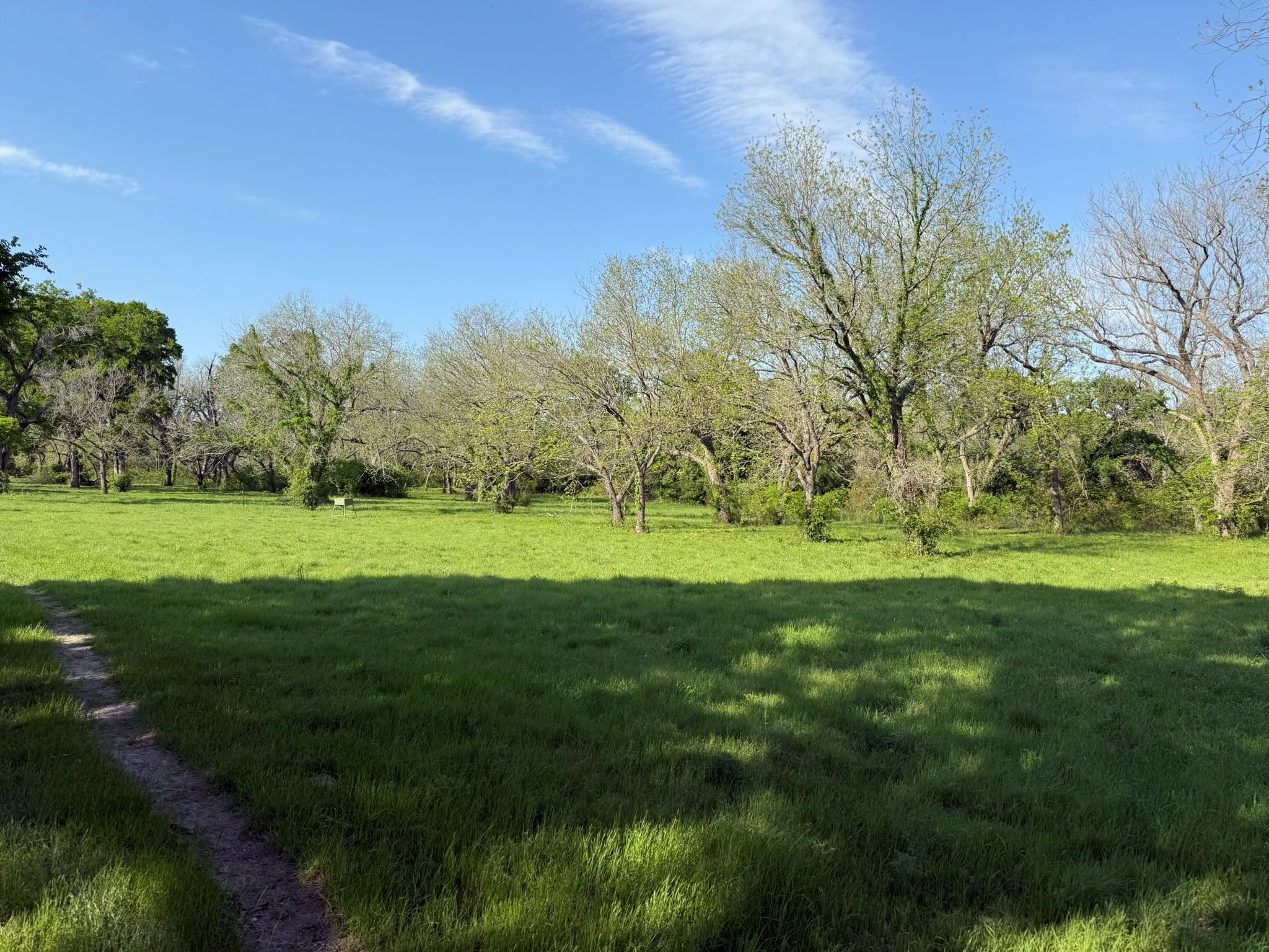 3399 County Road 267, Oglesby, TX 76561