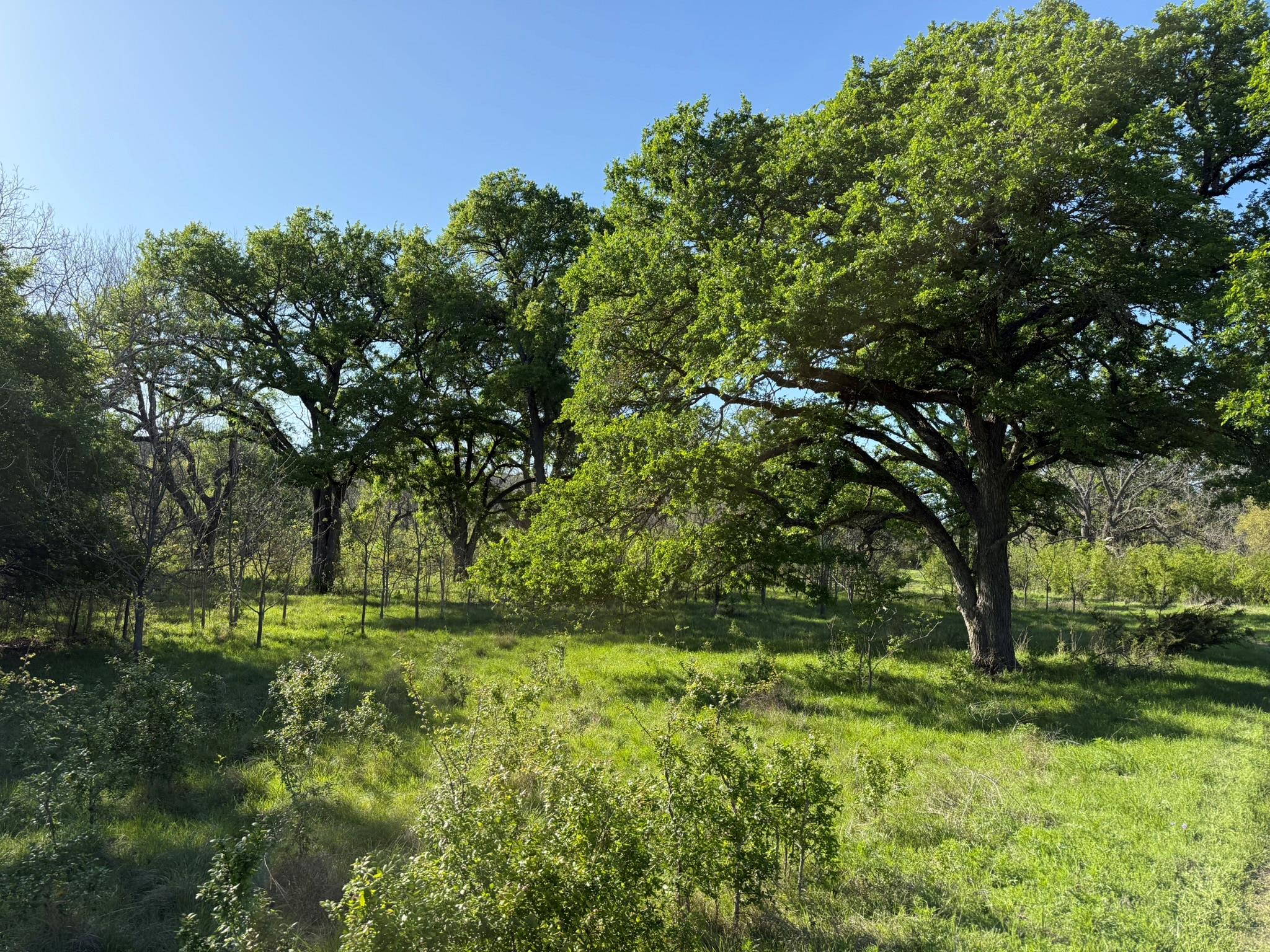 3399 County Road 267, Oglesby, TX 76561