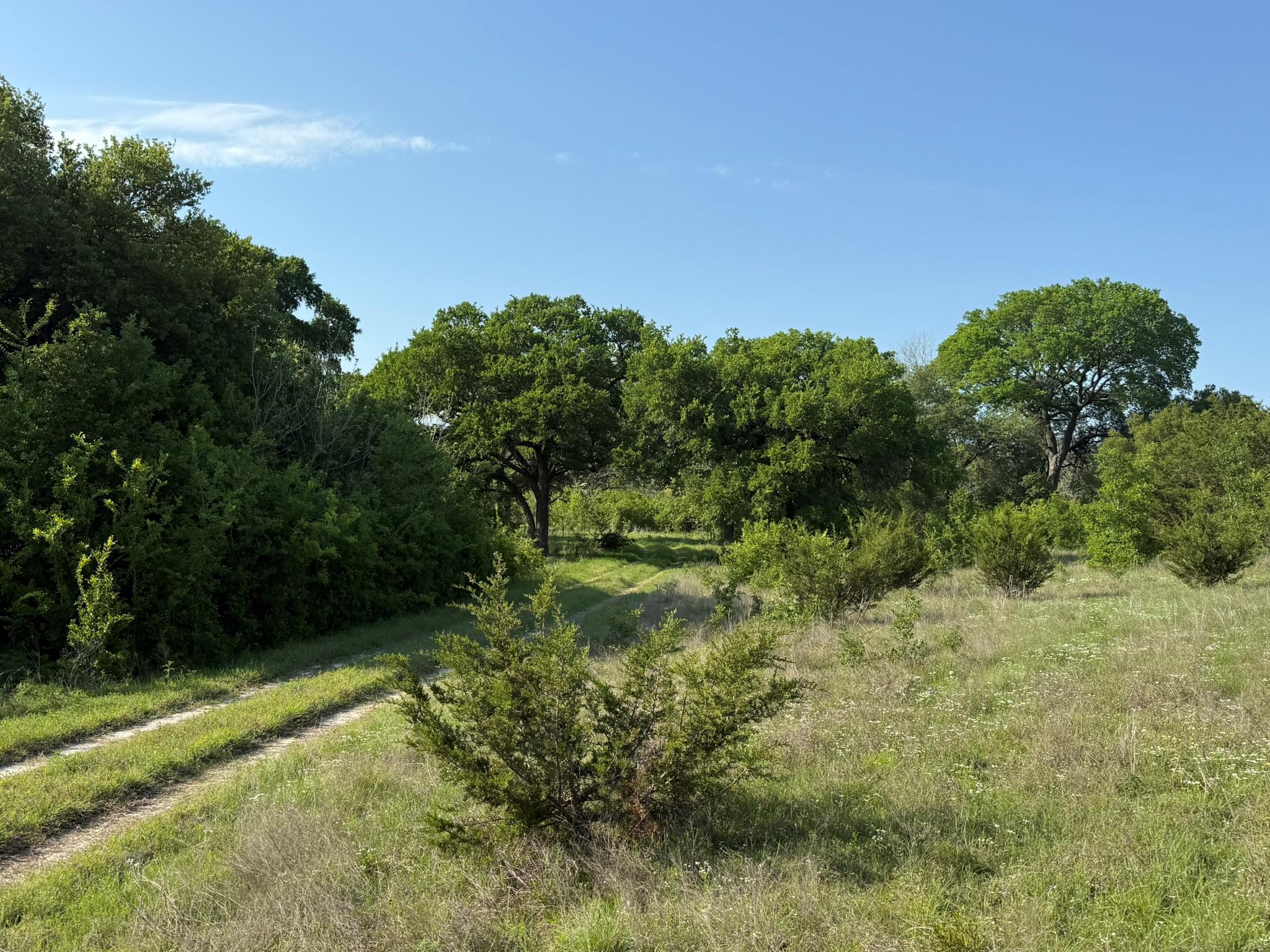 3399 County Road 267, Oglesby, TX 76561