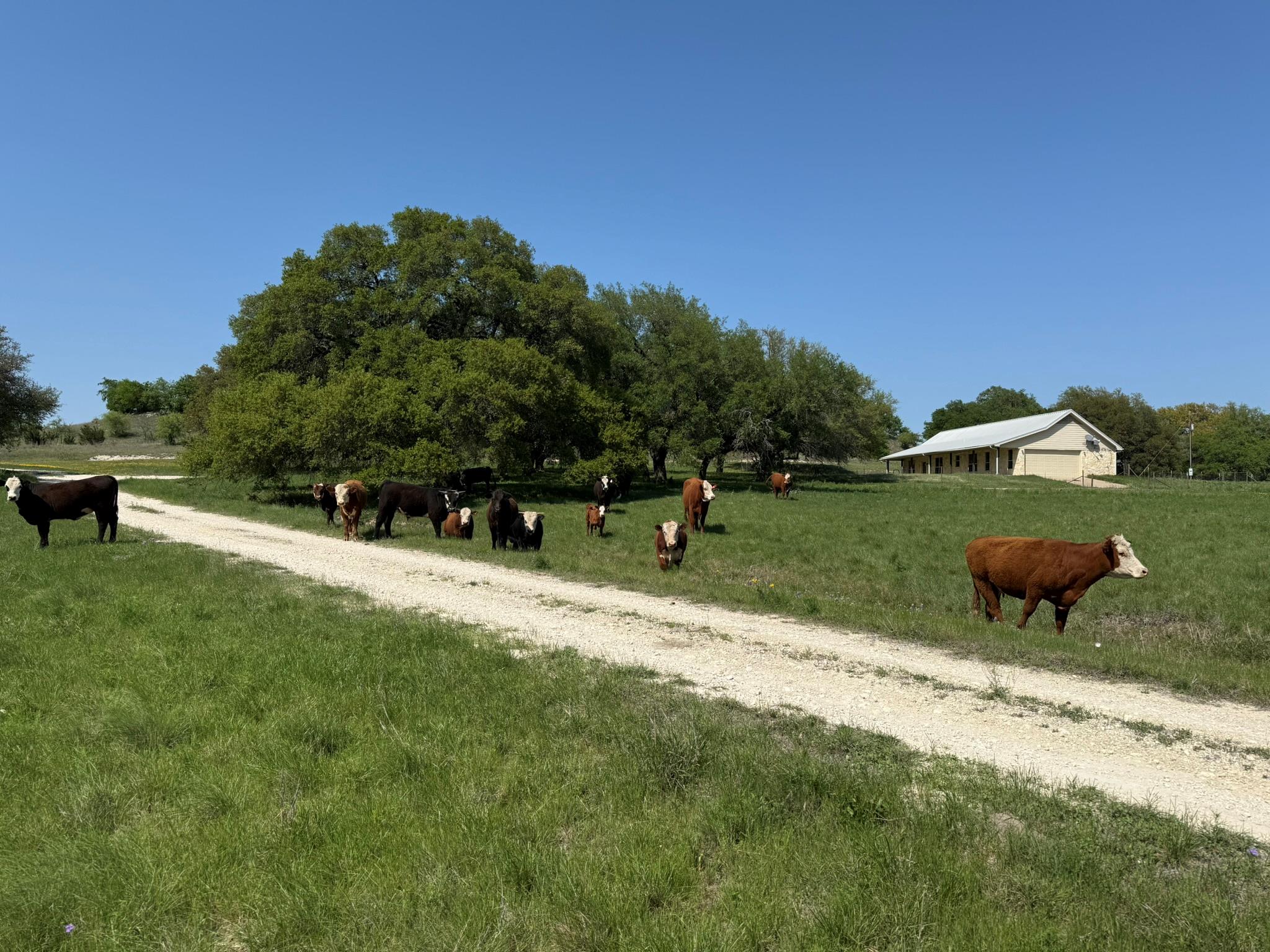 3399 County Road 267, Oglesby, TX 76561