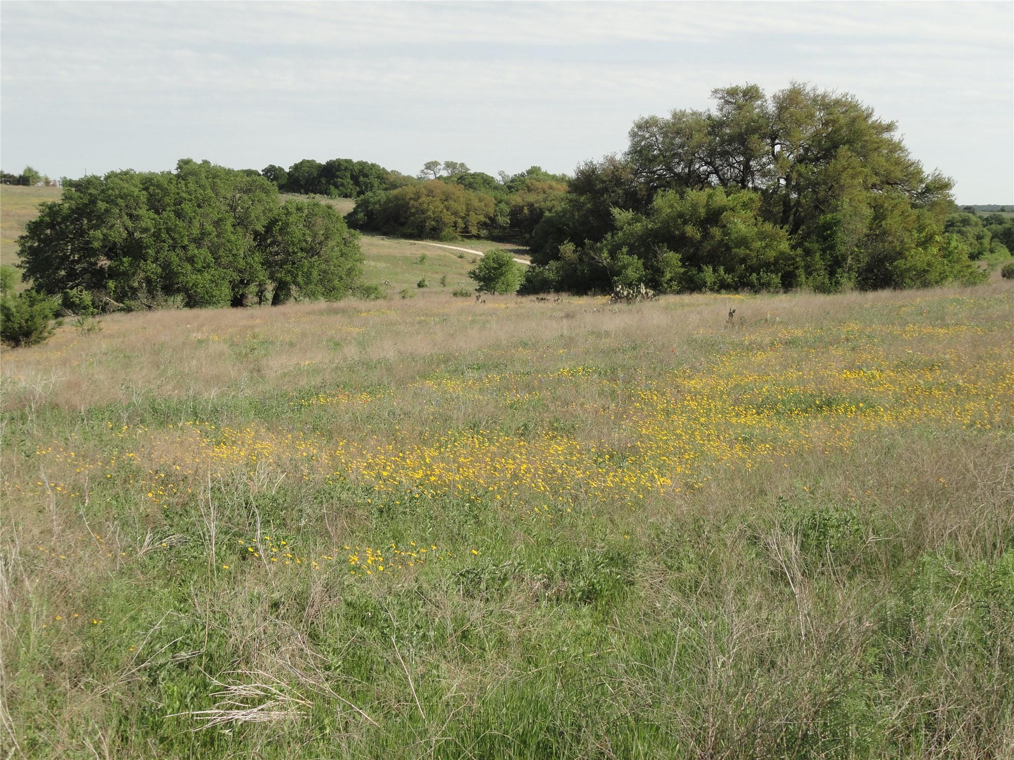 3399 County Road 267, Oglesby, TX 76561