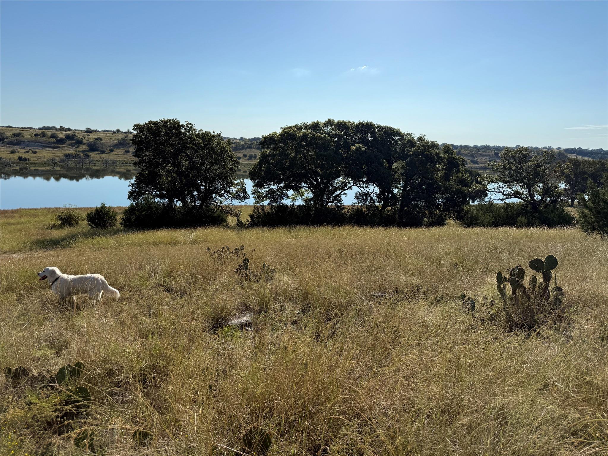 3399 County Road 267, Oglesby, TX 76561