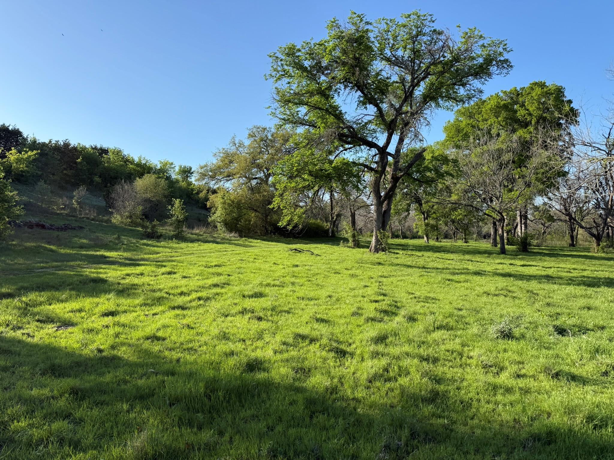 3399 County Road 267, Oglesby, TX 76561