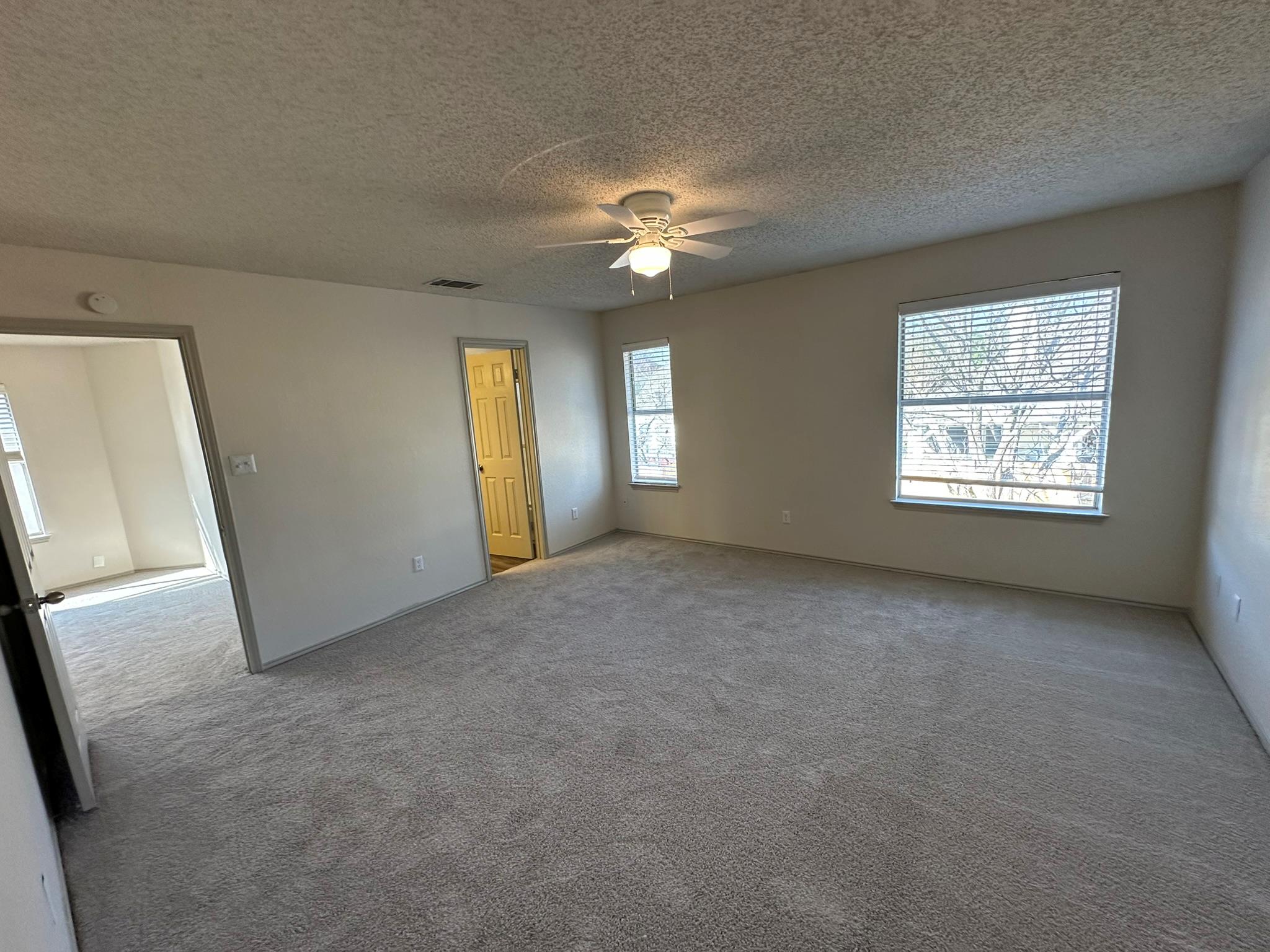 814 Smoke Signal Pass, Pflugerville, TX 78660