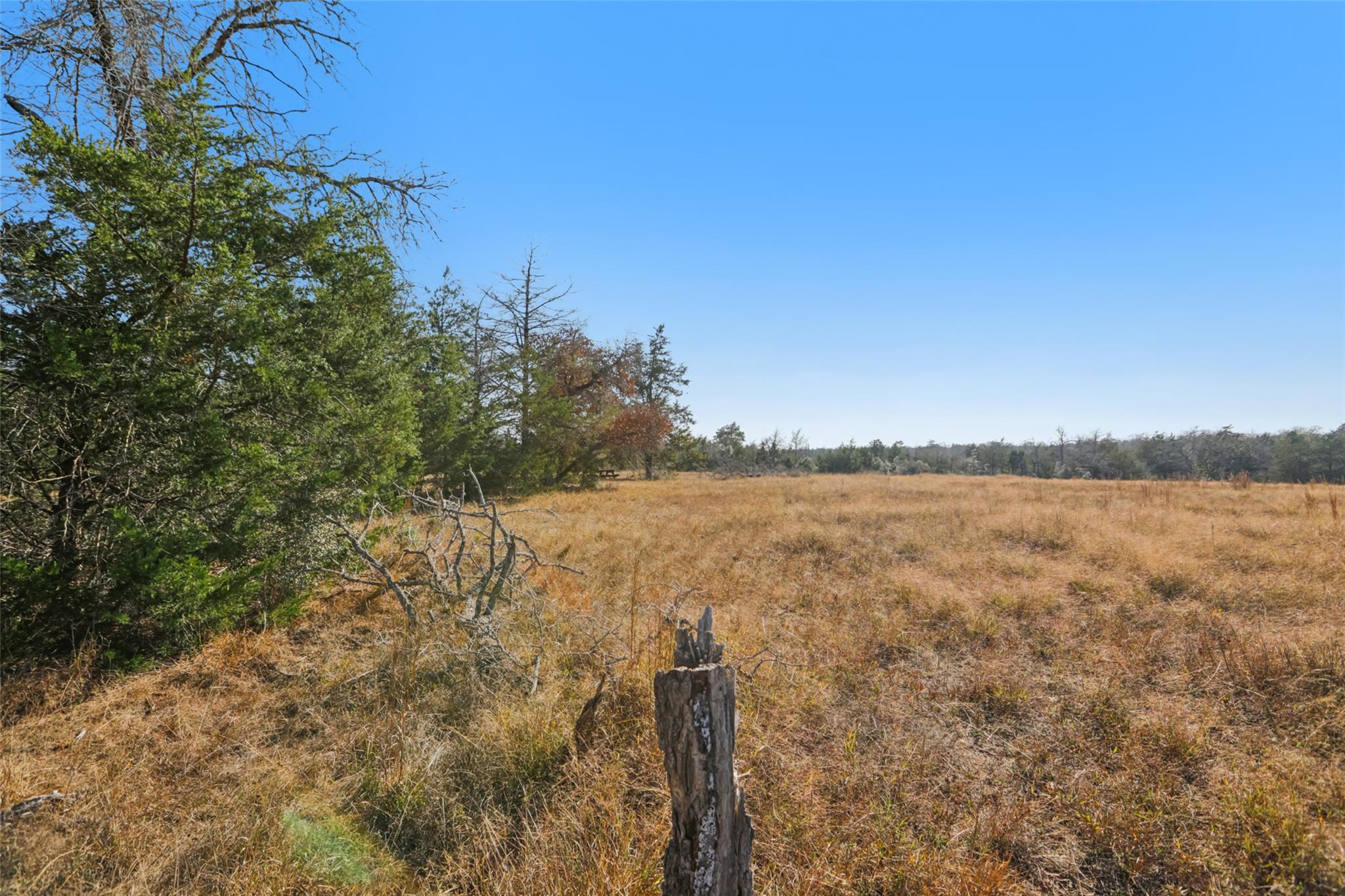 6975 Silver Mine Rd, Harwood, TX 78632