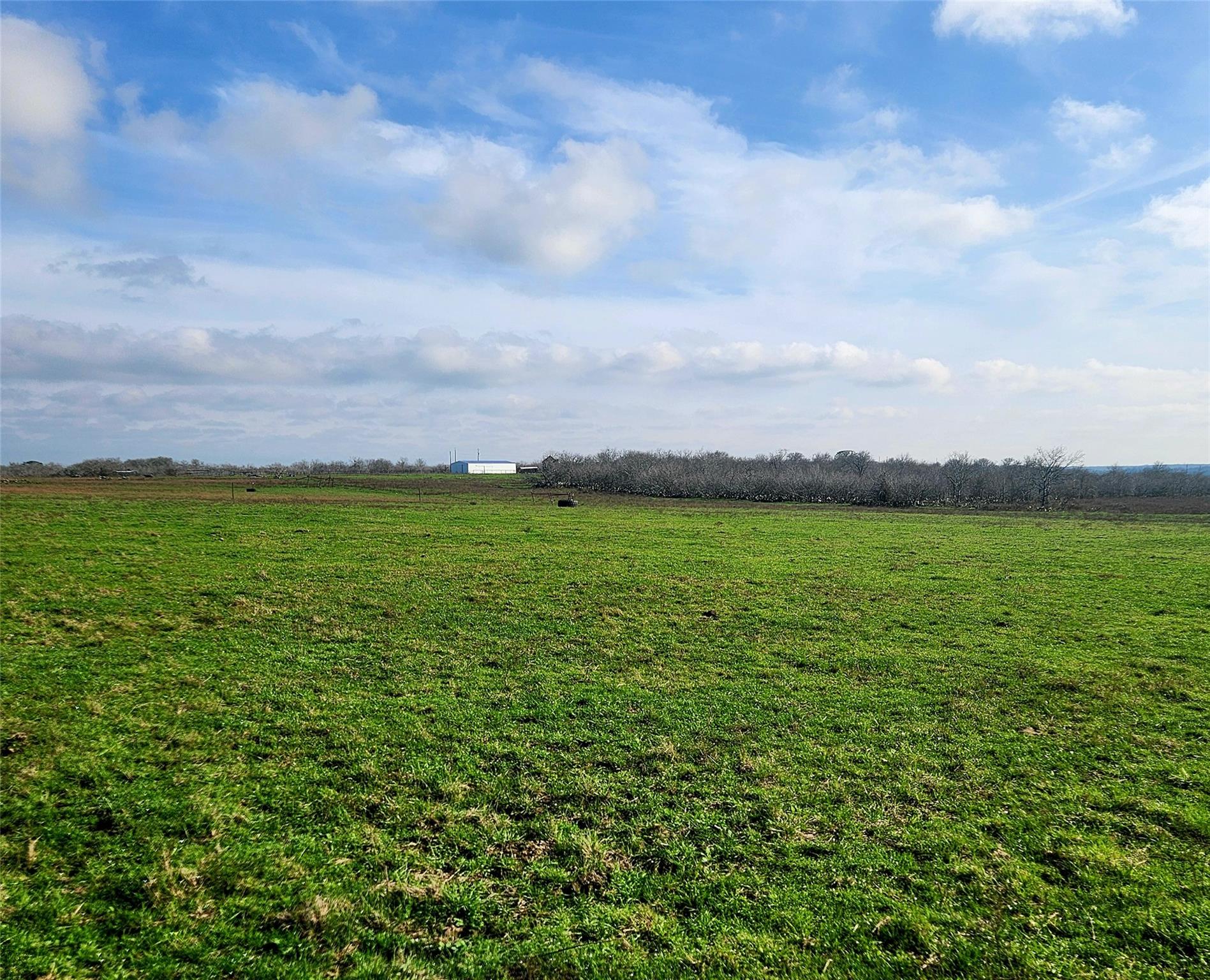 TBD County Road 446, Waelder, TX 78959