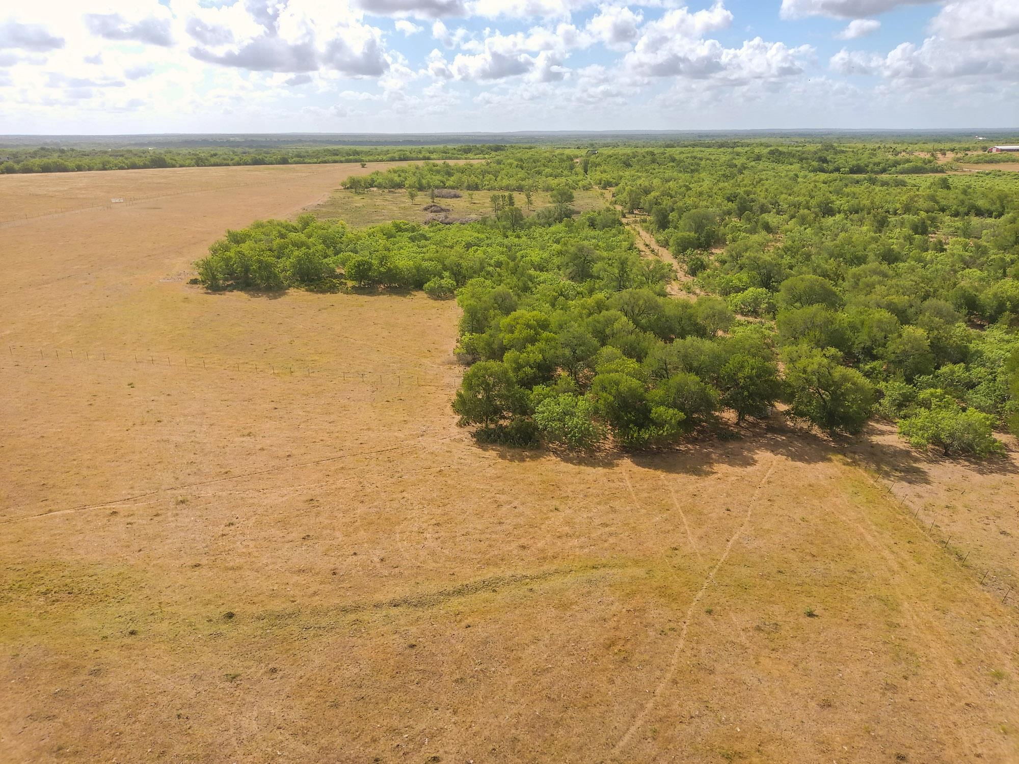 TBD County Road 446, Waelder, TX 78959