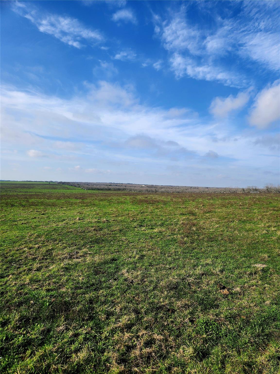 TBD County Road 446, Waelder, TX 78959