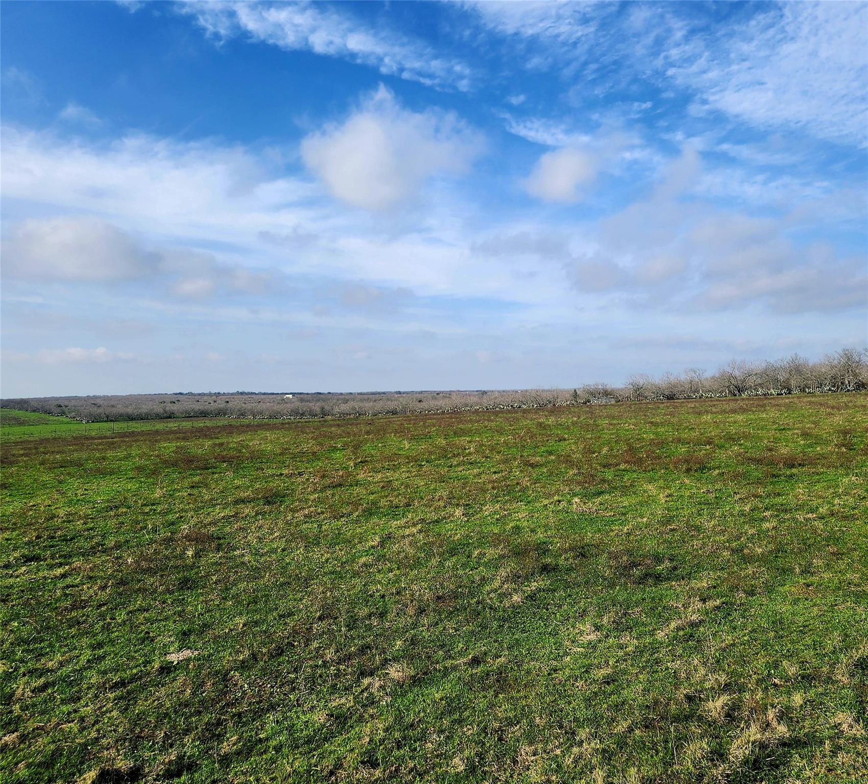 TBD County Road 446, Waelder, TX 78959