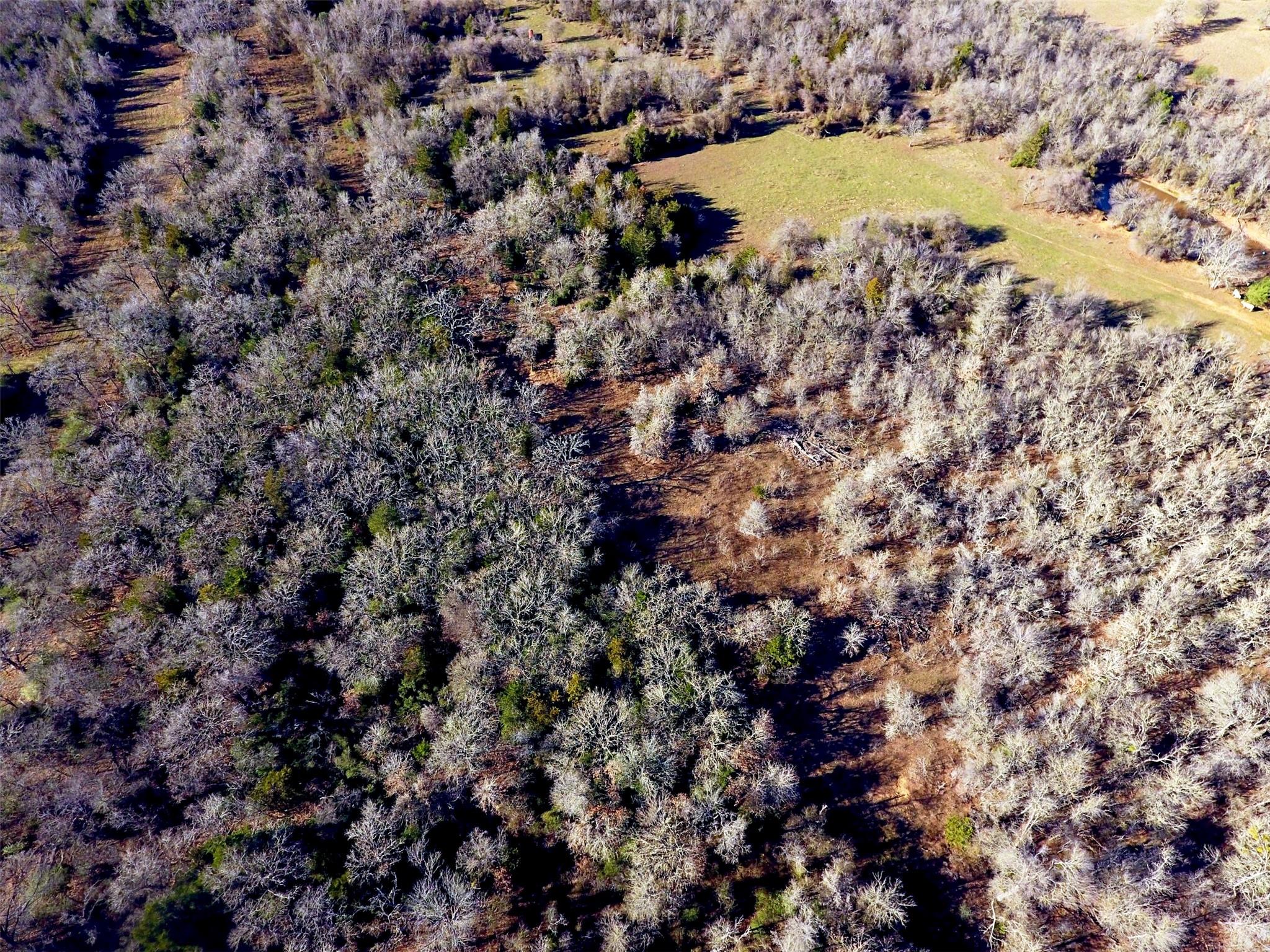 2523 County Road 456, Thorndale, TX 76577